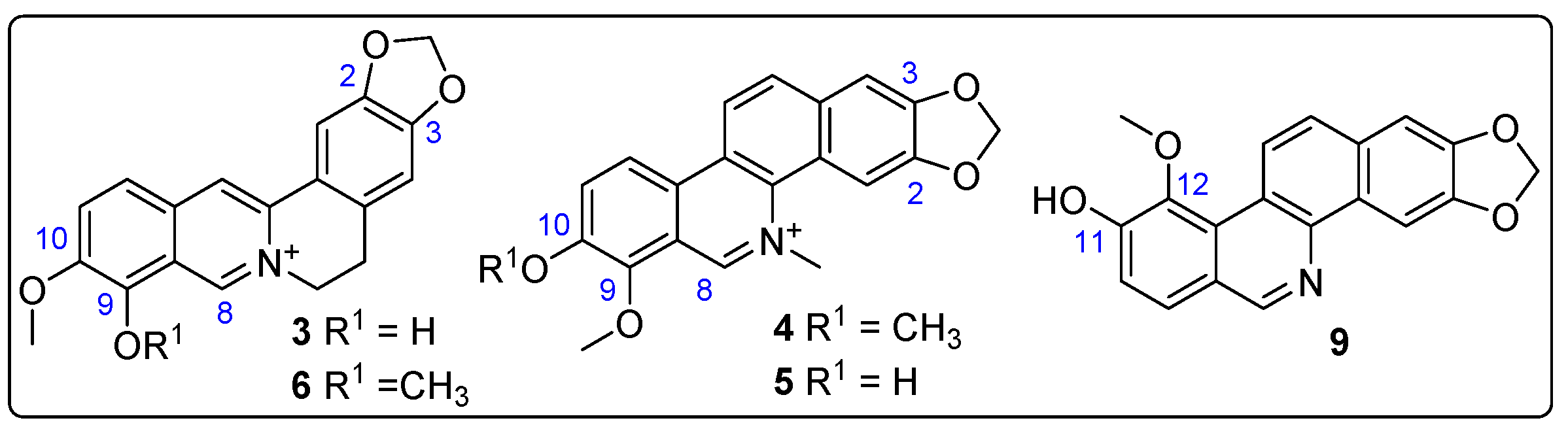 Biotech 13 00005 g008