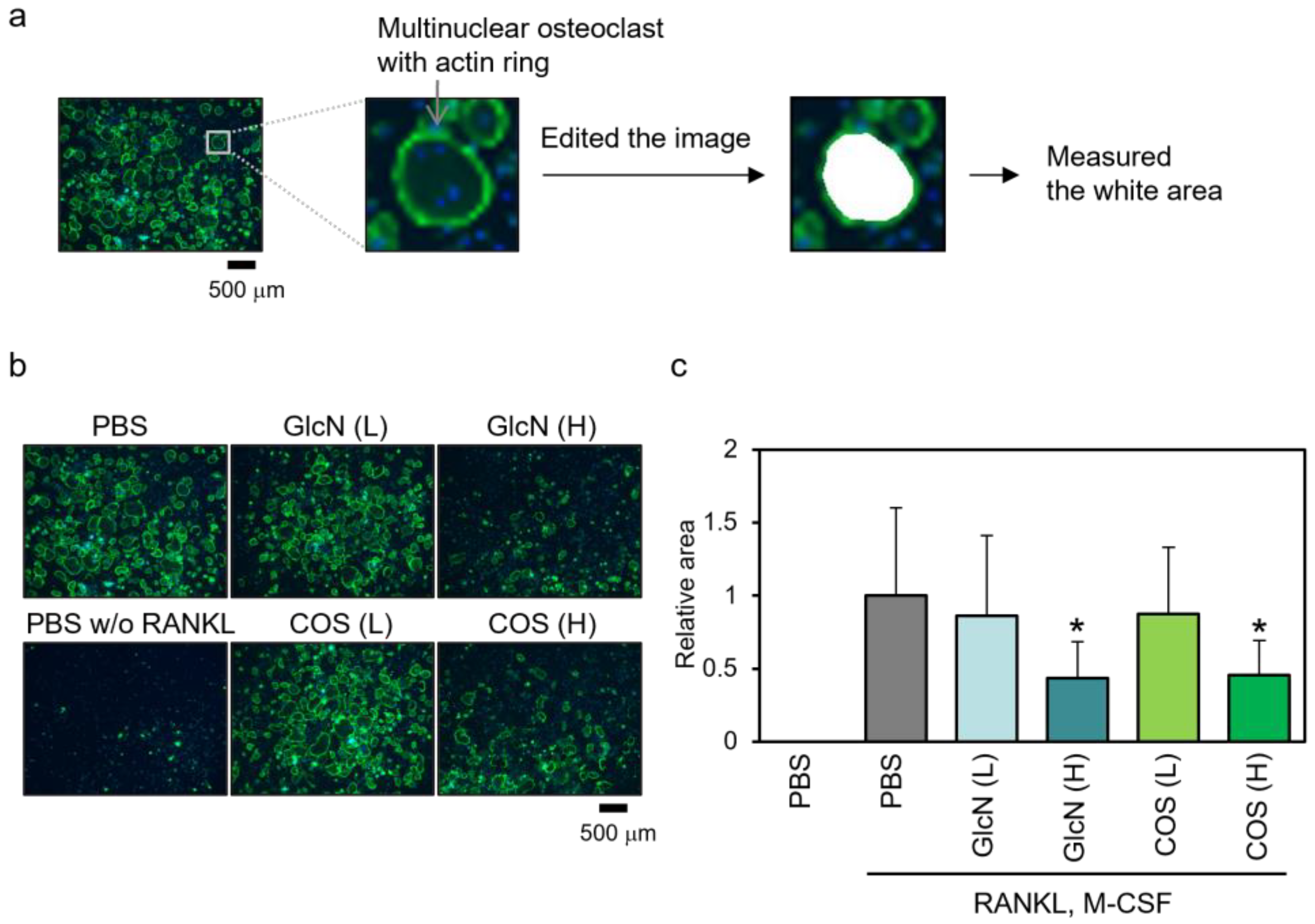 Biotech 13 00006 g004