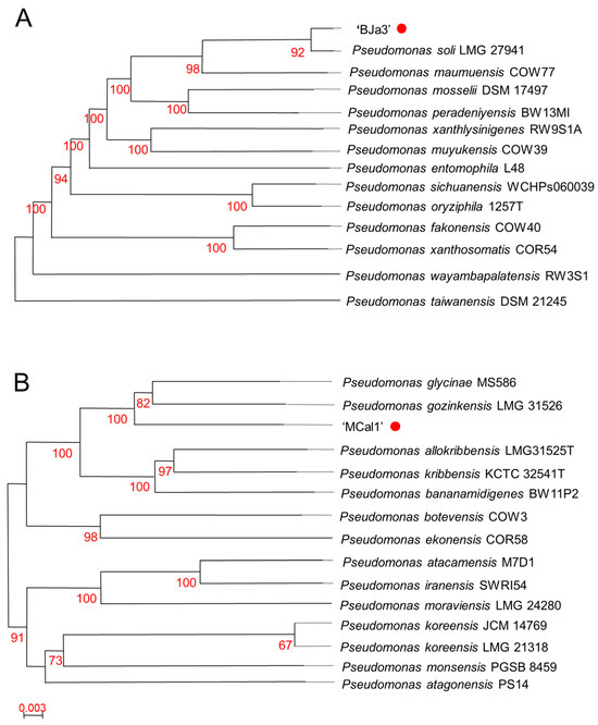 Biotech 13 00008 g002