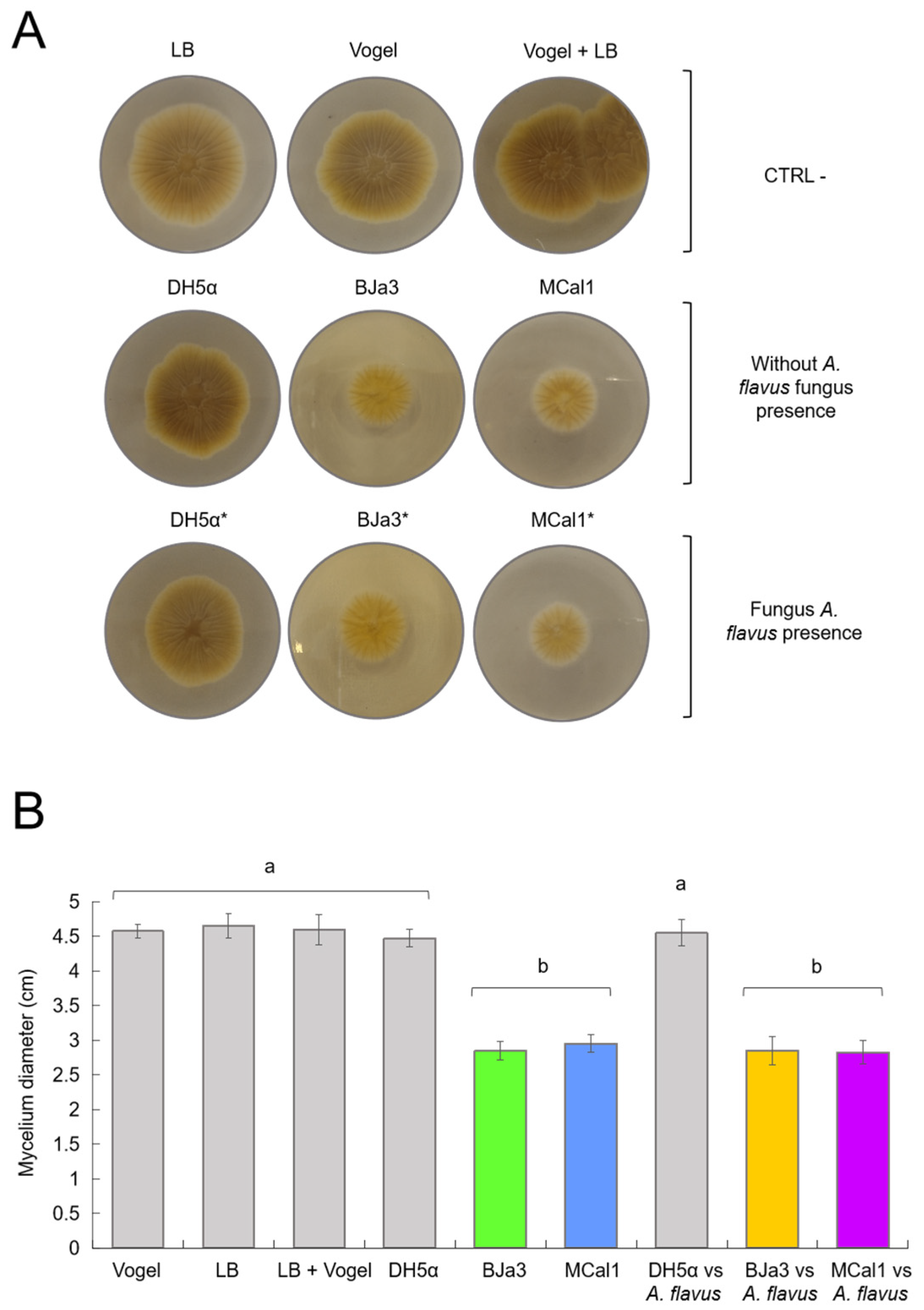 Biotech 13 00008 g003
