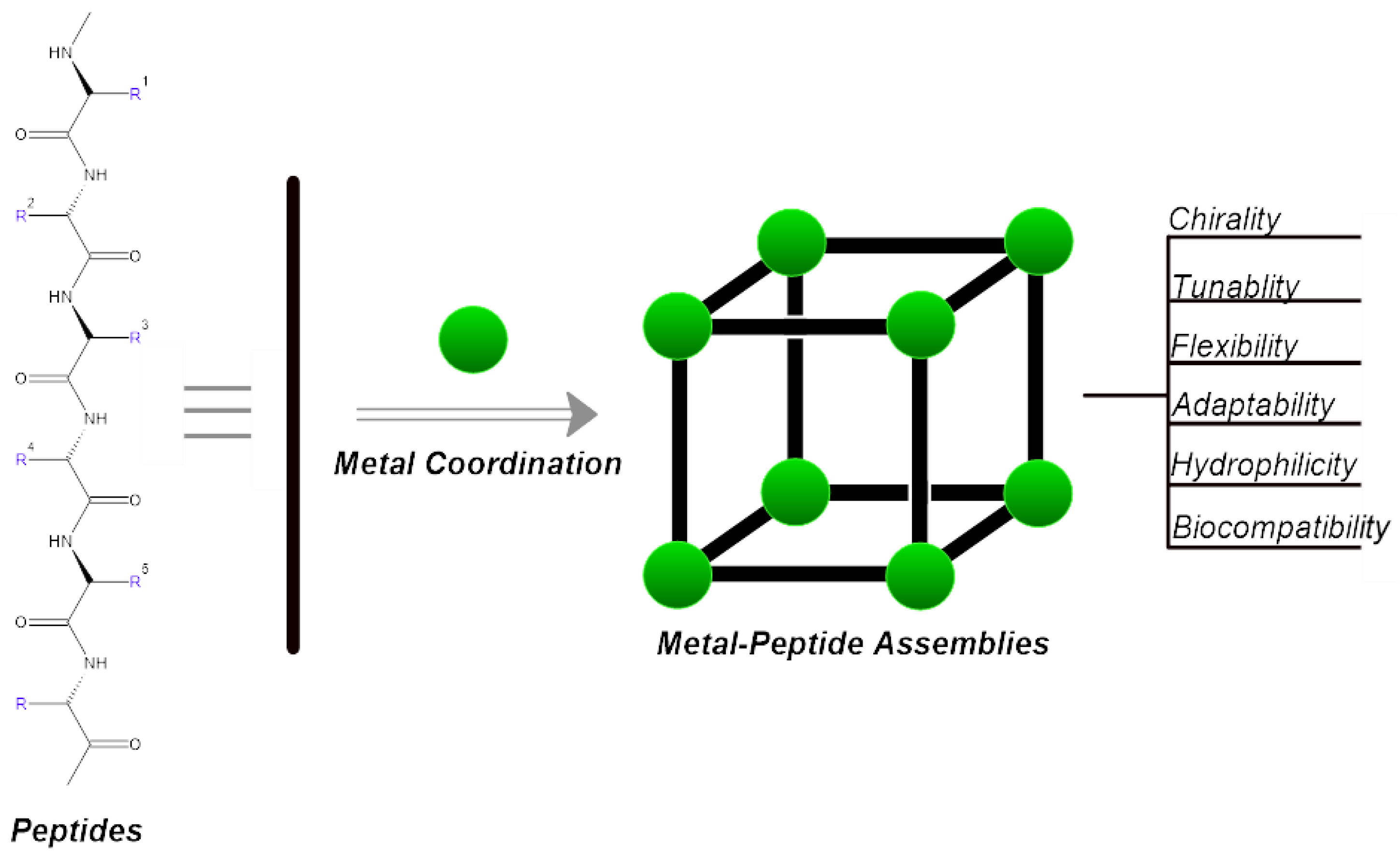 Biotech 13 00009 g003