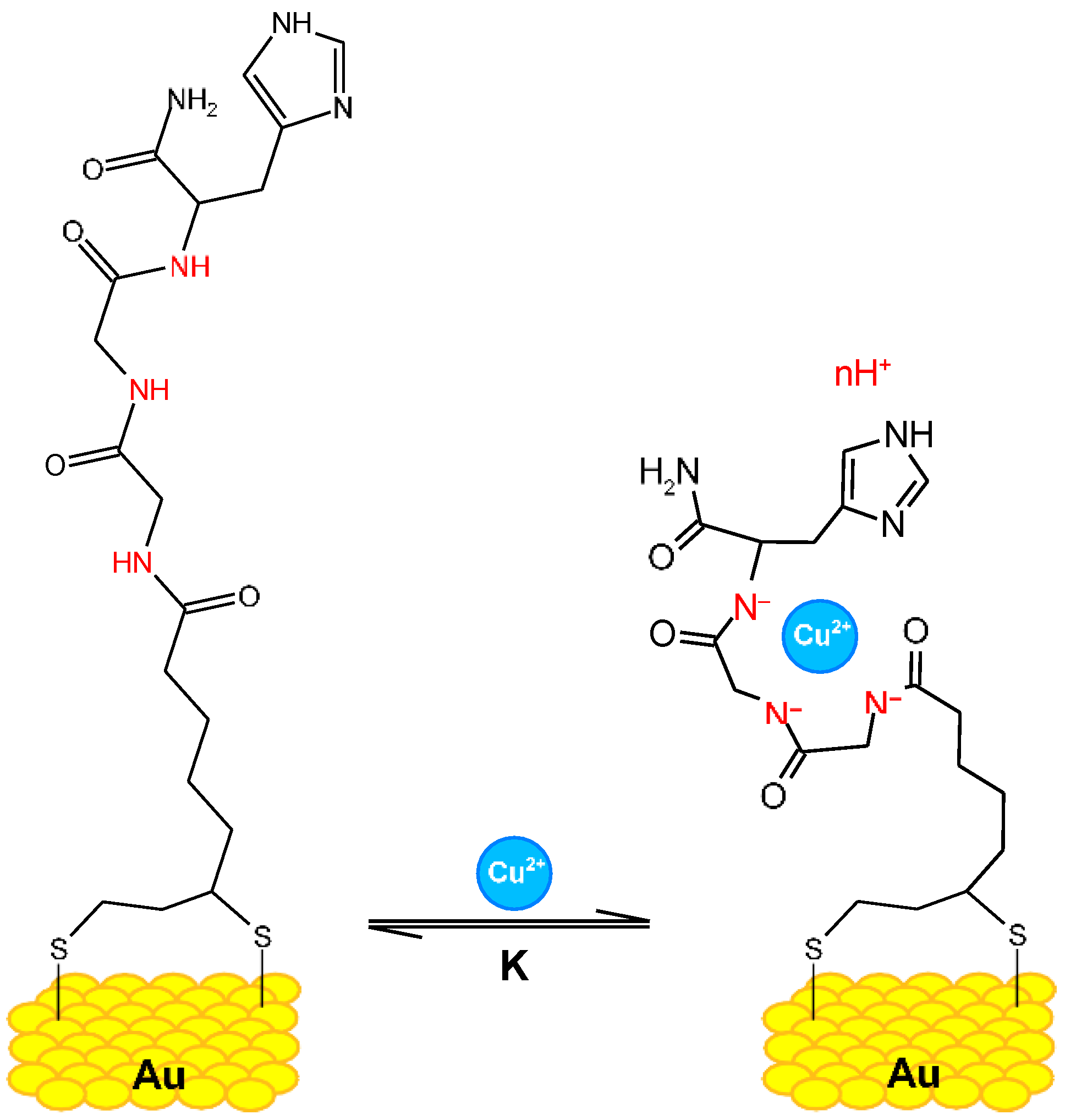 Biotech 13 00009 g004
