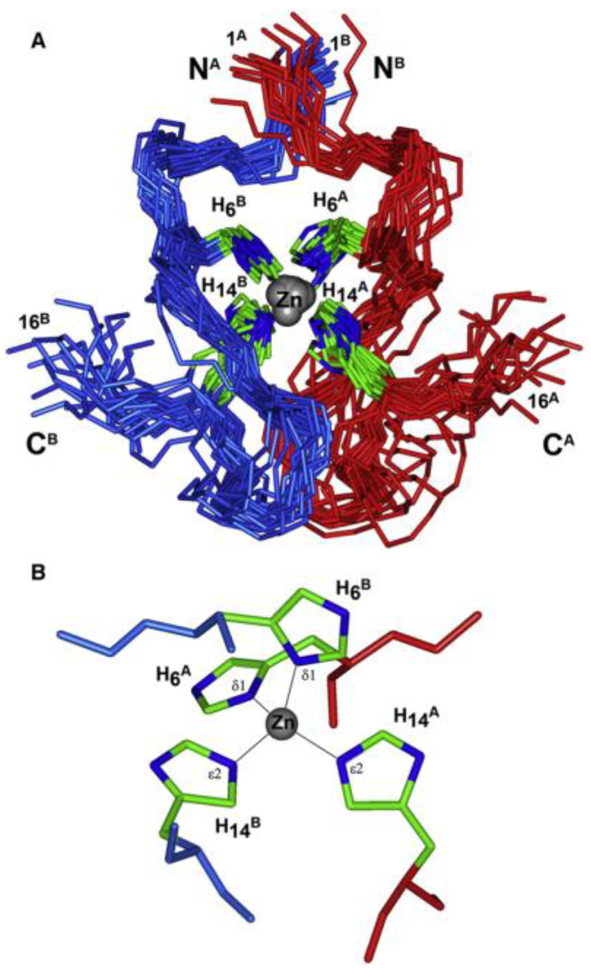 Biotech 13 00009 g015