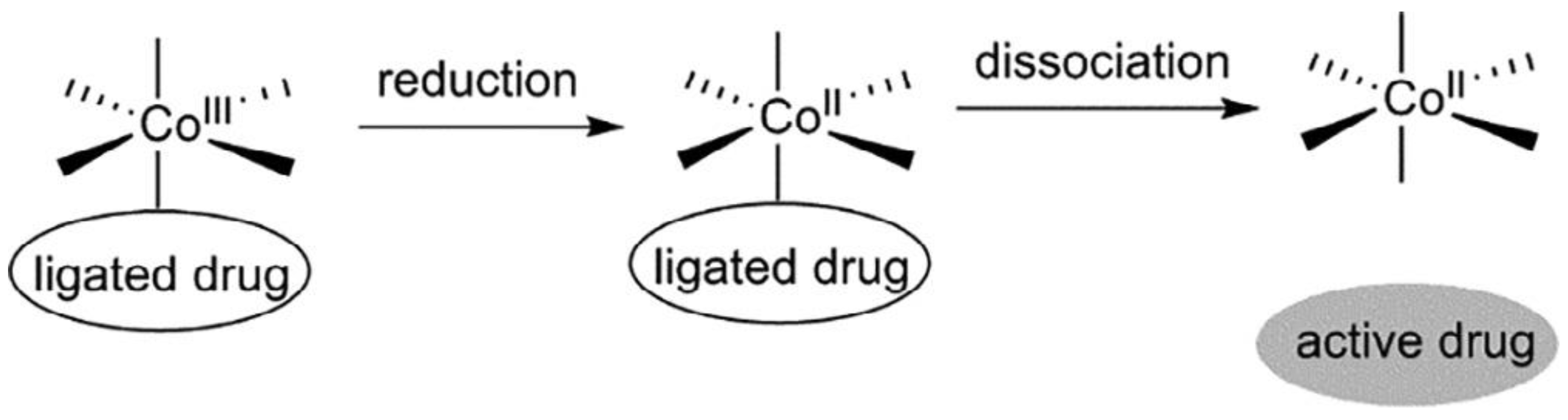 Biotech 13 00009 g017