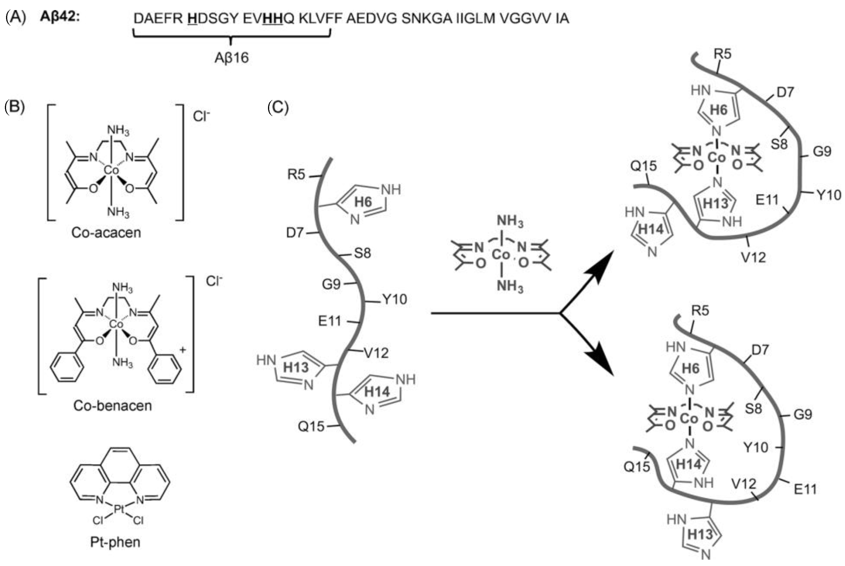 Biotech 13 00009 g019