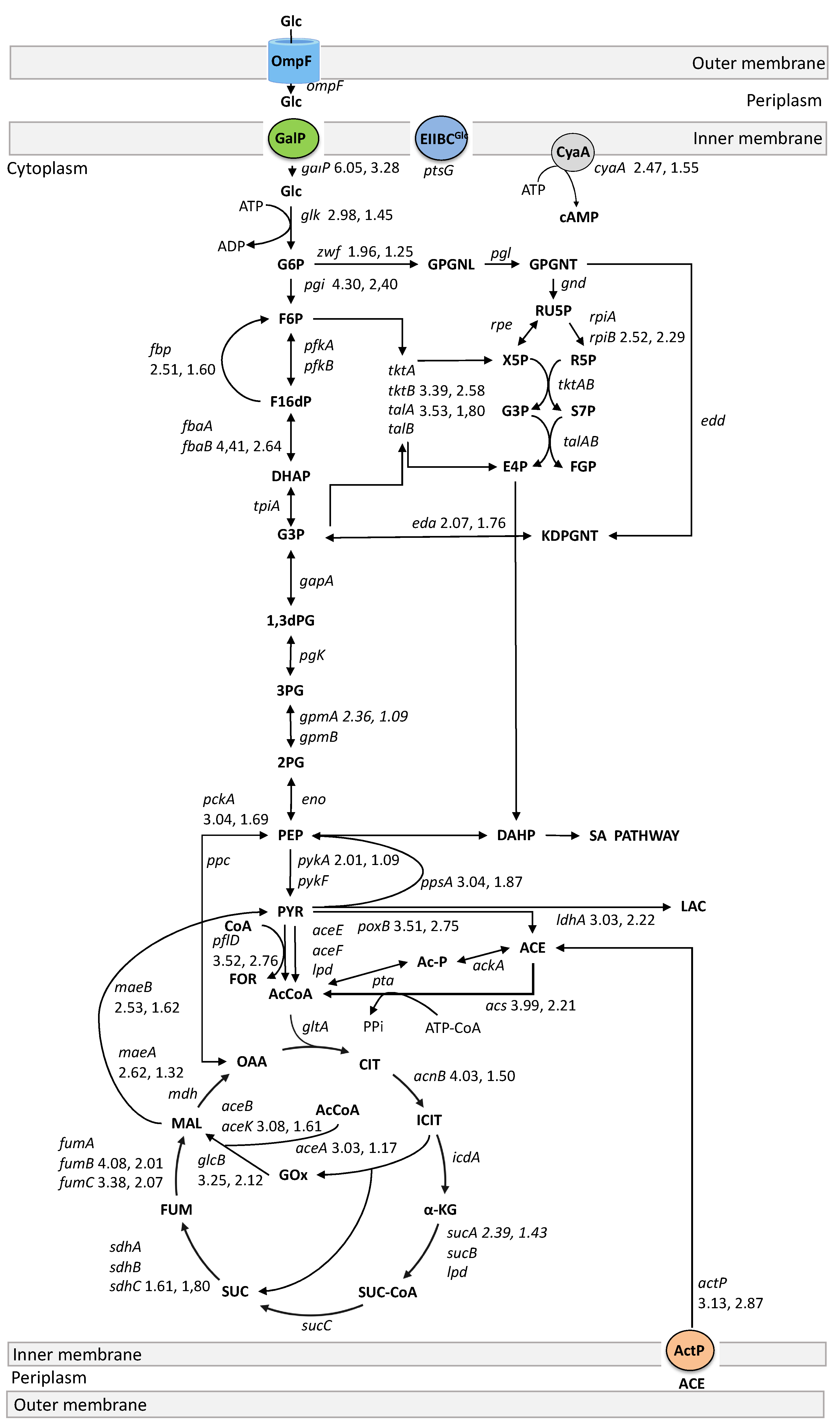 Biotech 13 00010 g002