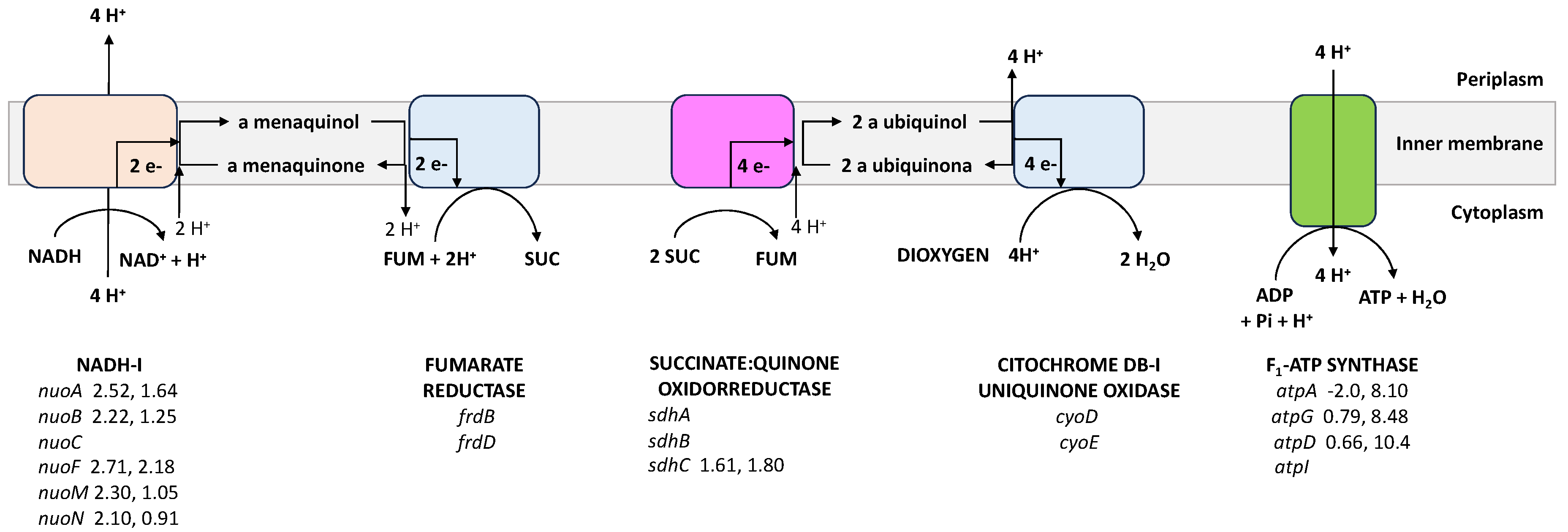 Biotech 13 00010 g003