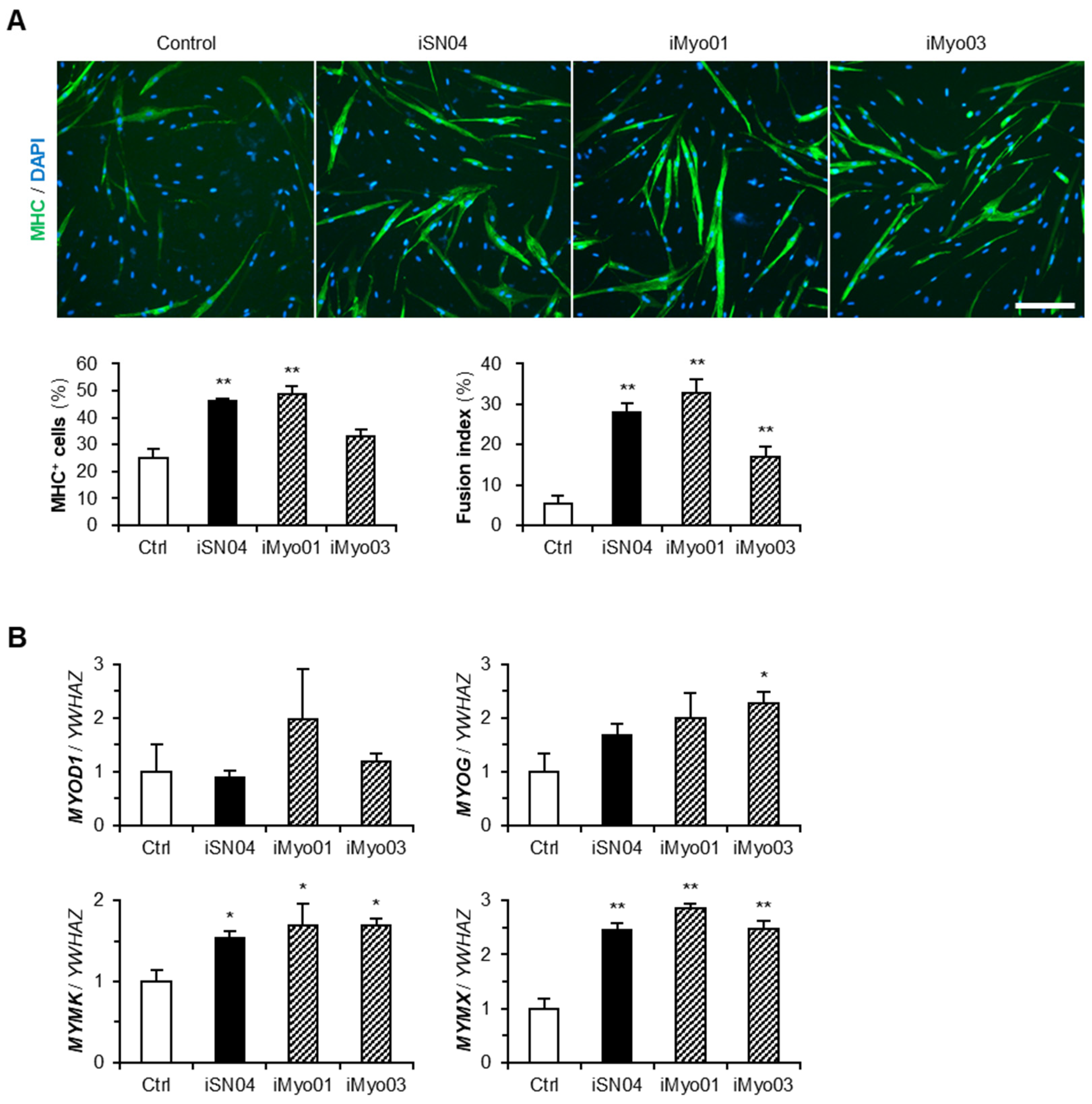 Biotech 13 00011 g002 Biotech 13 00011 g002