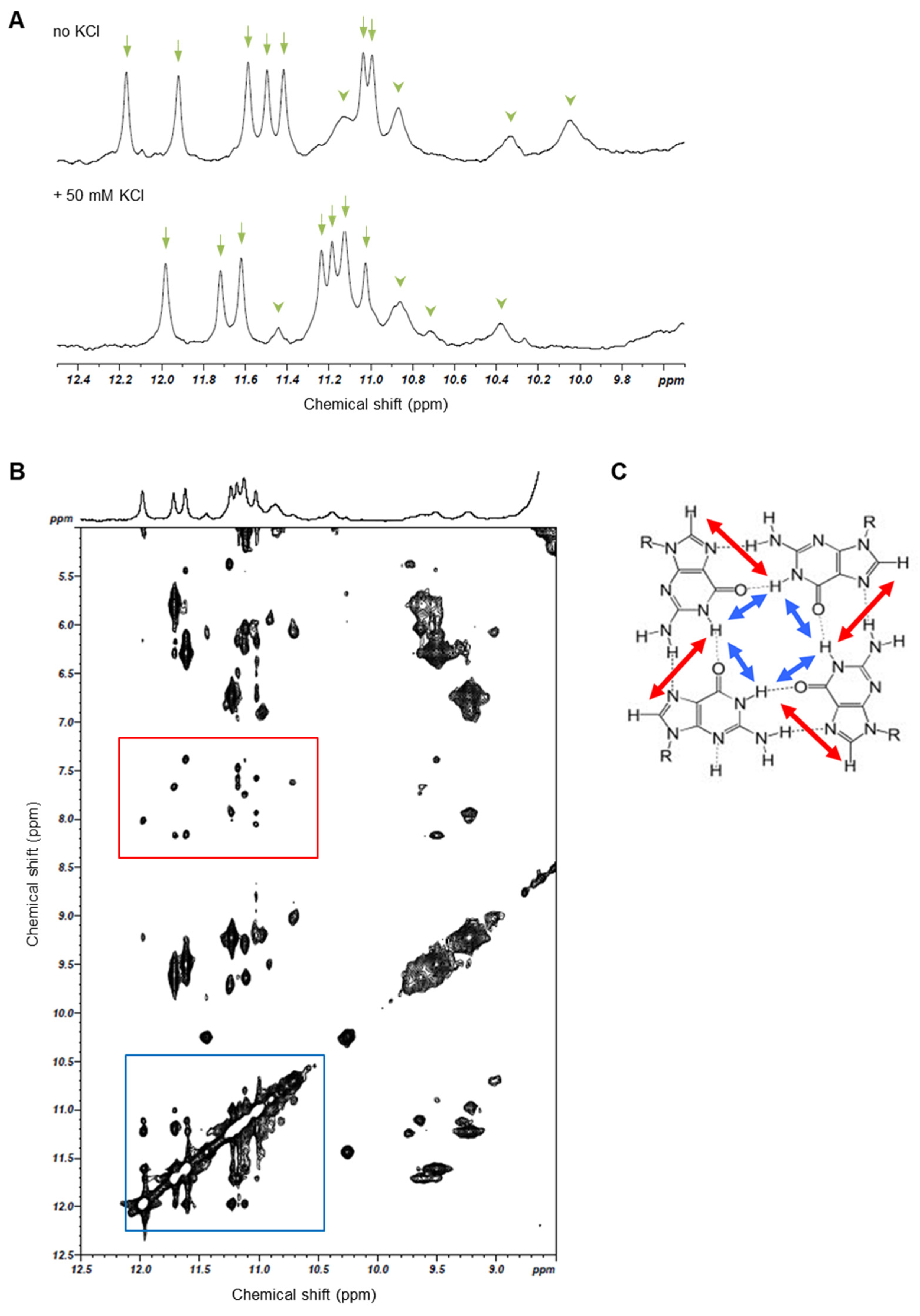 Biotech 13 00011 g004 Biotech 13 00011 g004