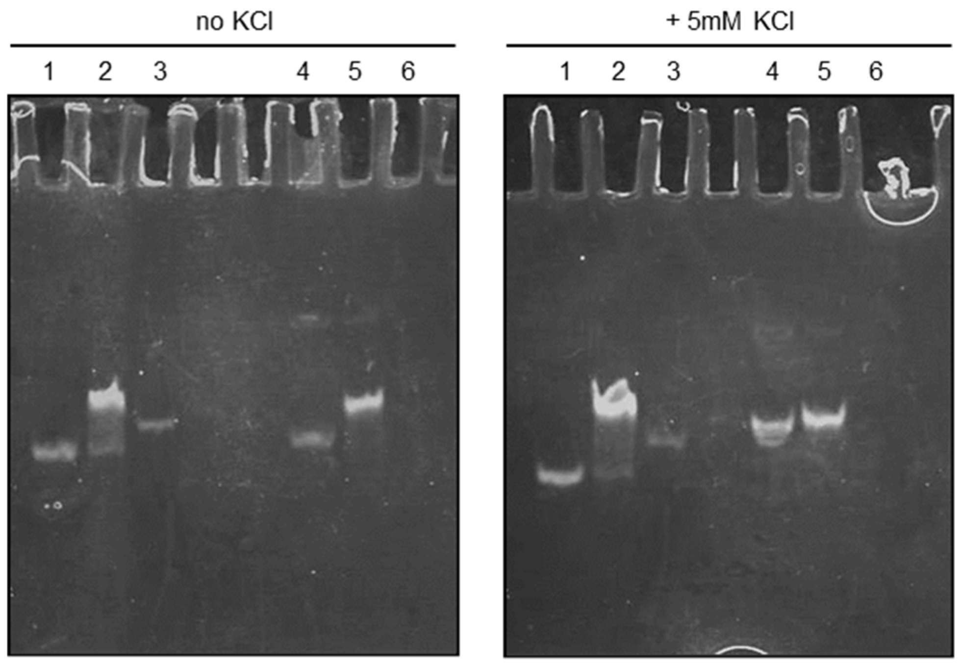 Biotech 13 00011 g005 Biotech 13 00011 g005