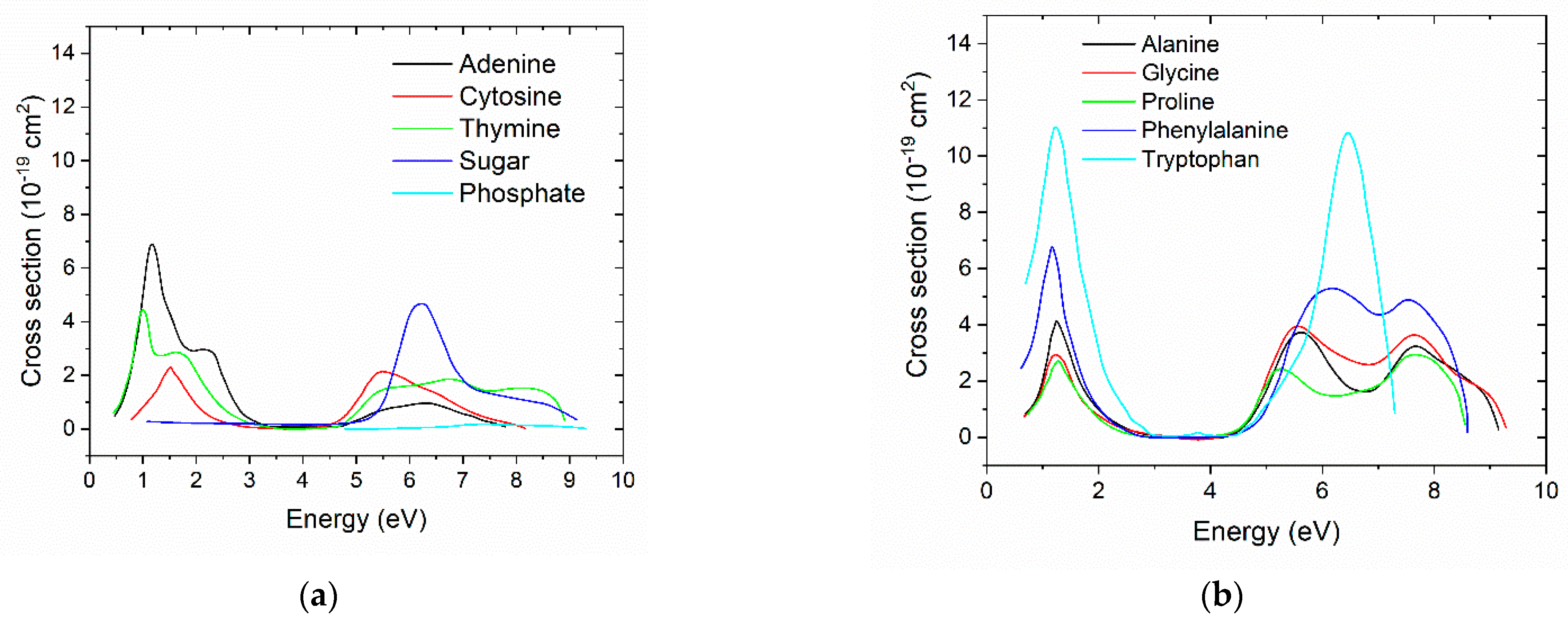 Biotech 13 00017 g001
