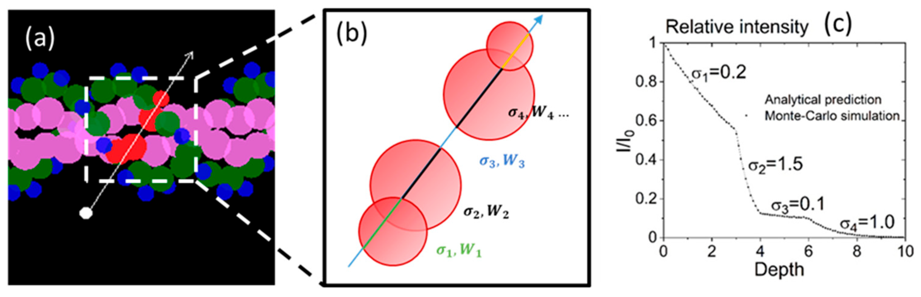 Biotech 13 00017 g003