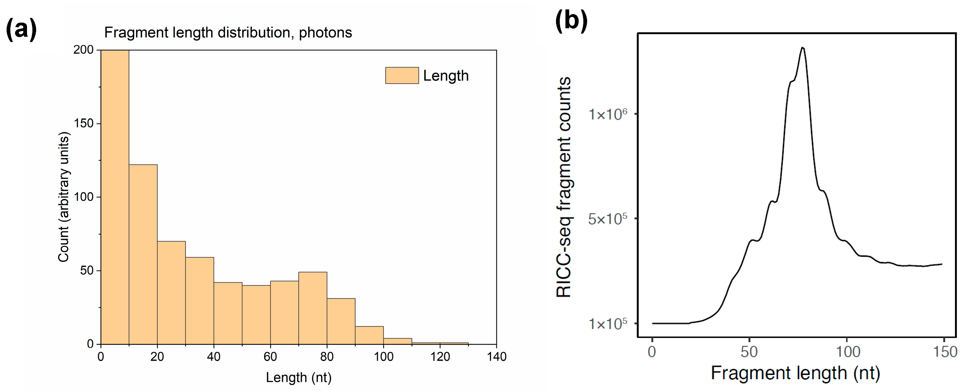 Biotech 13 00017 g009