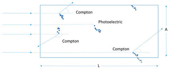 Biotech 13 00017 g0a1