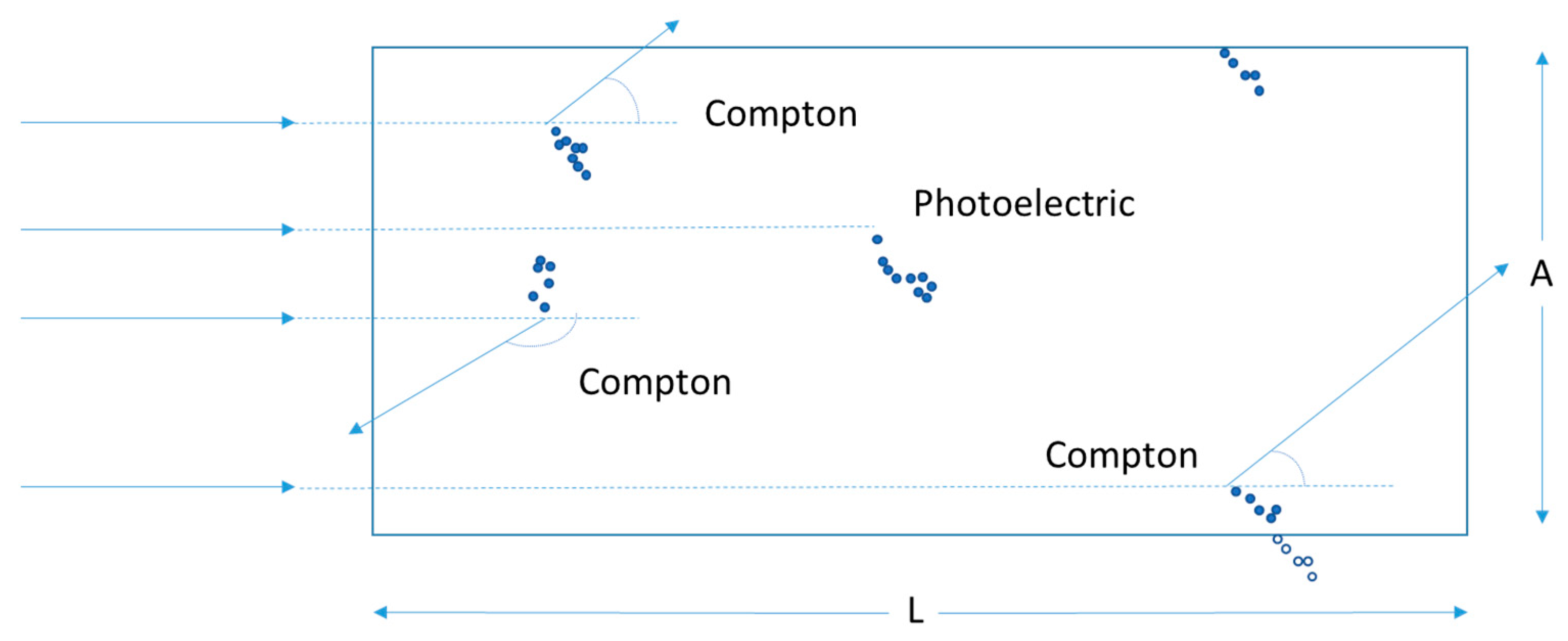 Biotech 13 00017 g0a1