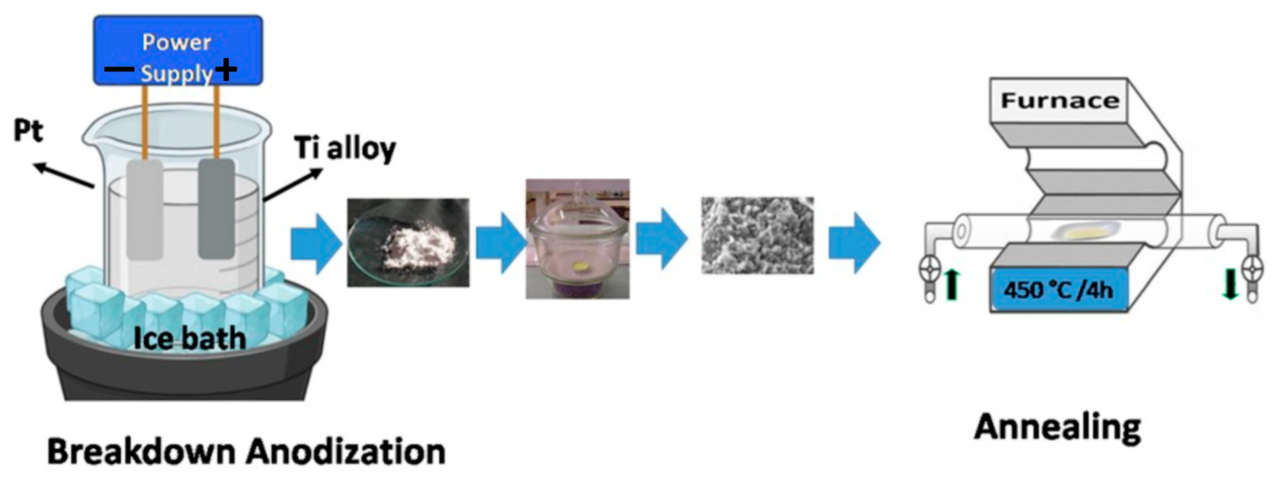 Biotech 13 00024 sch001