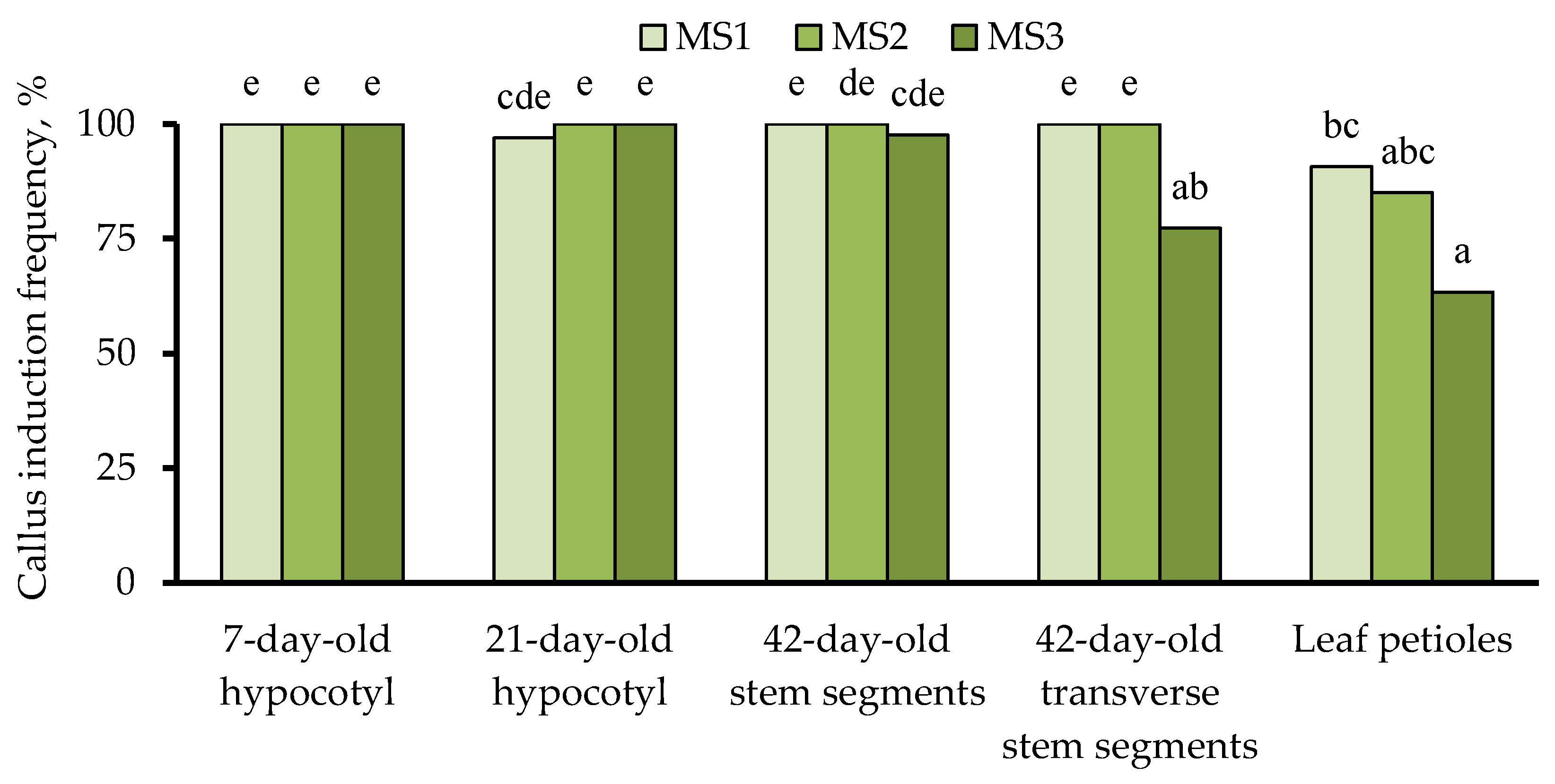 Biotech 13 00025 g002