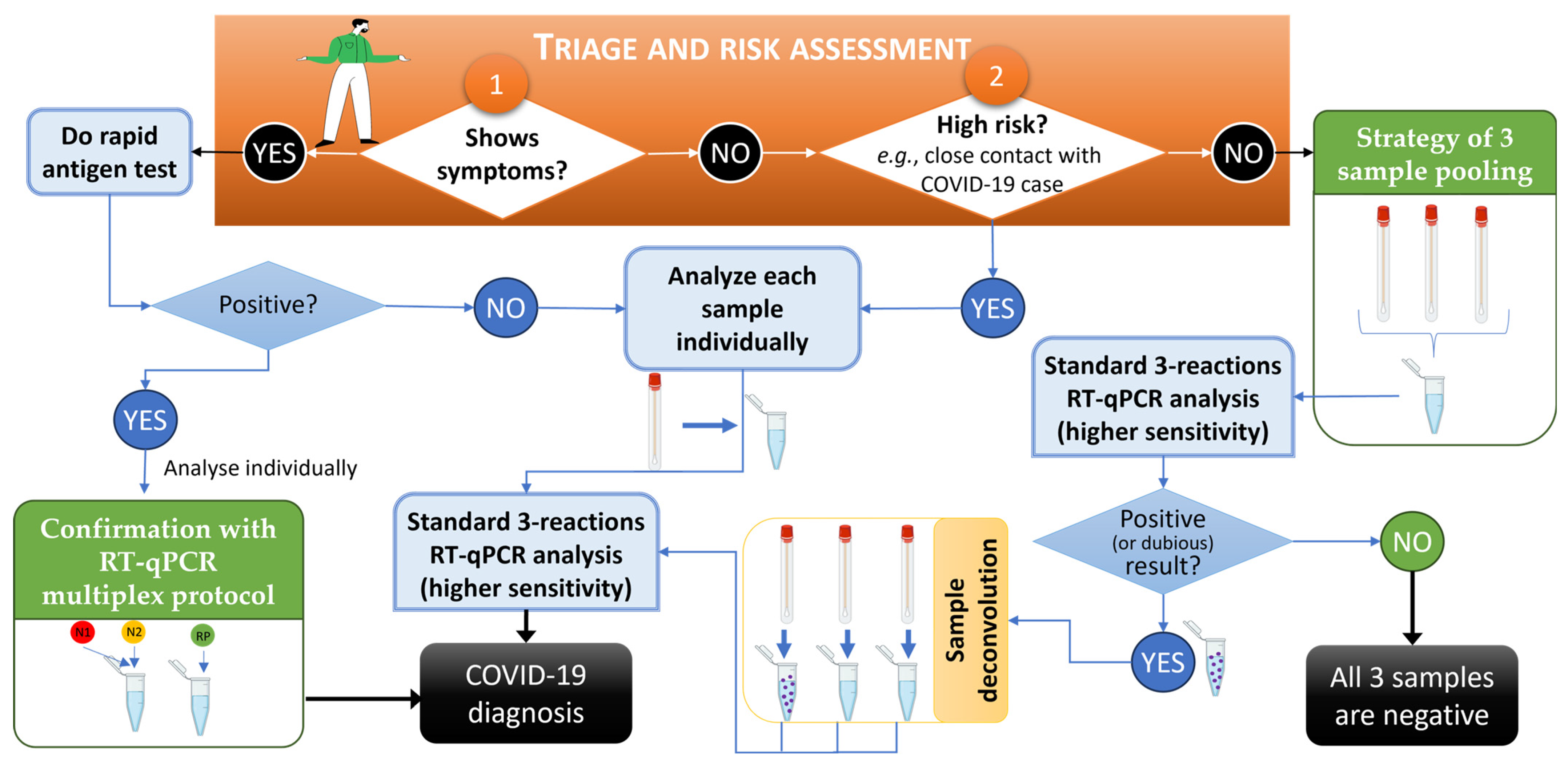Biotech 13 00026 g005