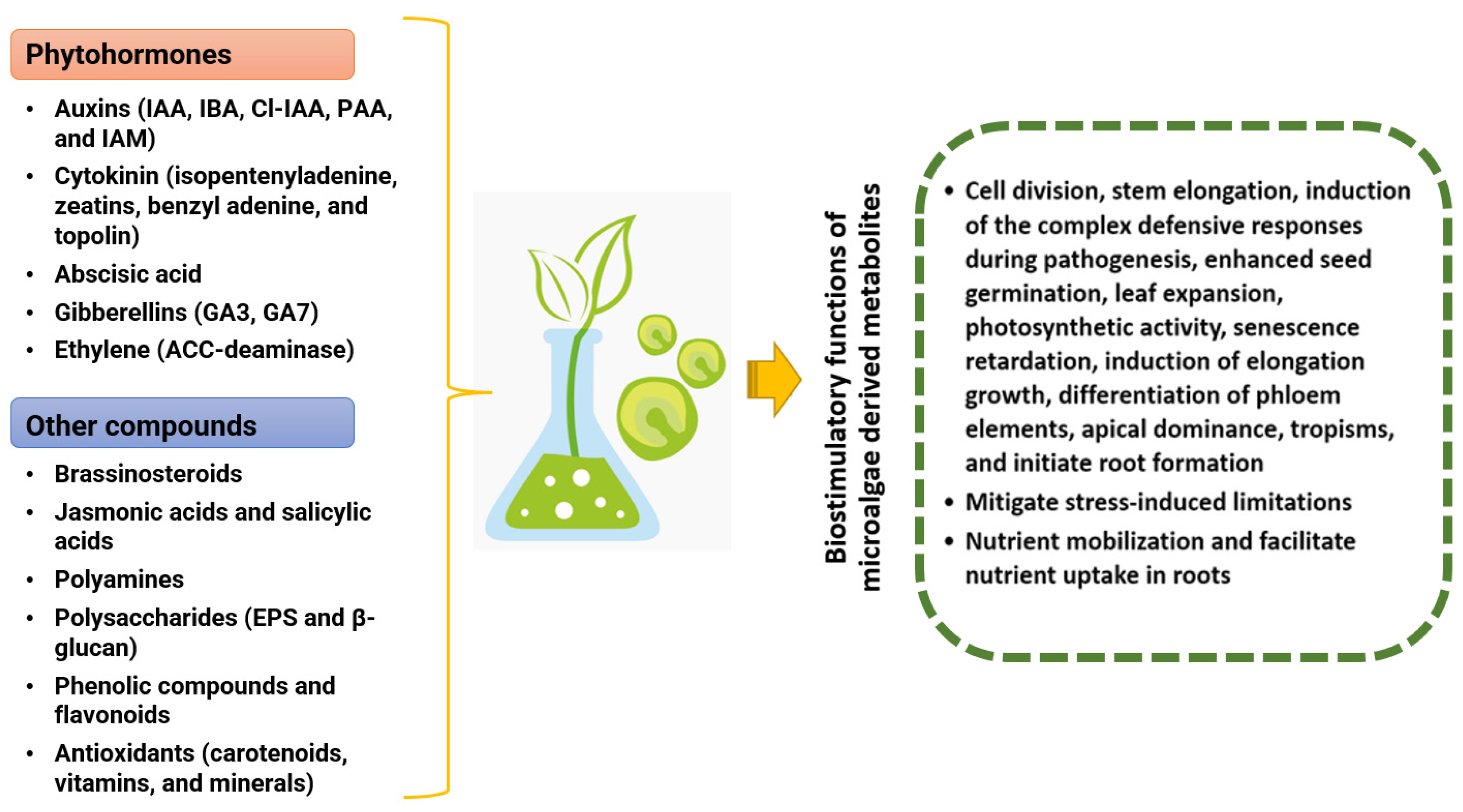 Biotech 13 00027 g001 Biotech 13 00027 g001