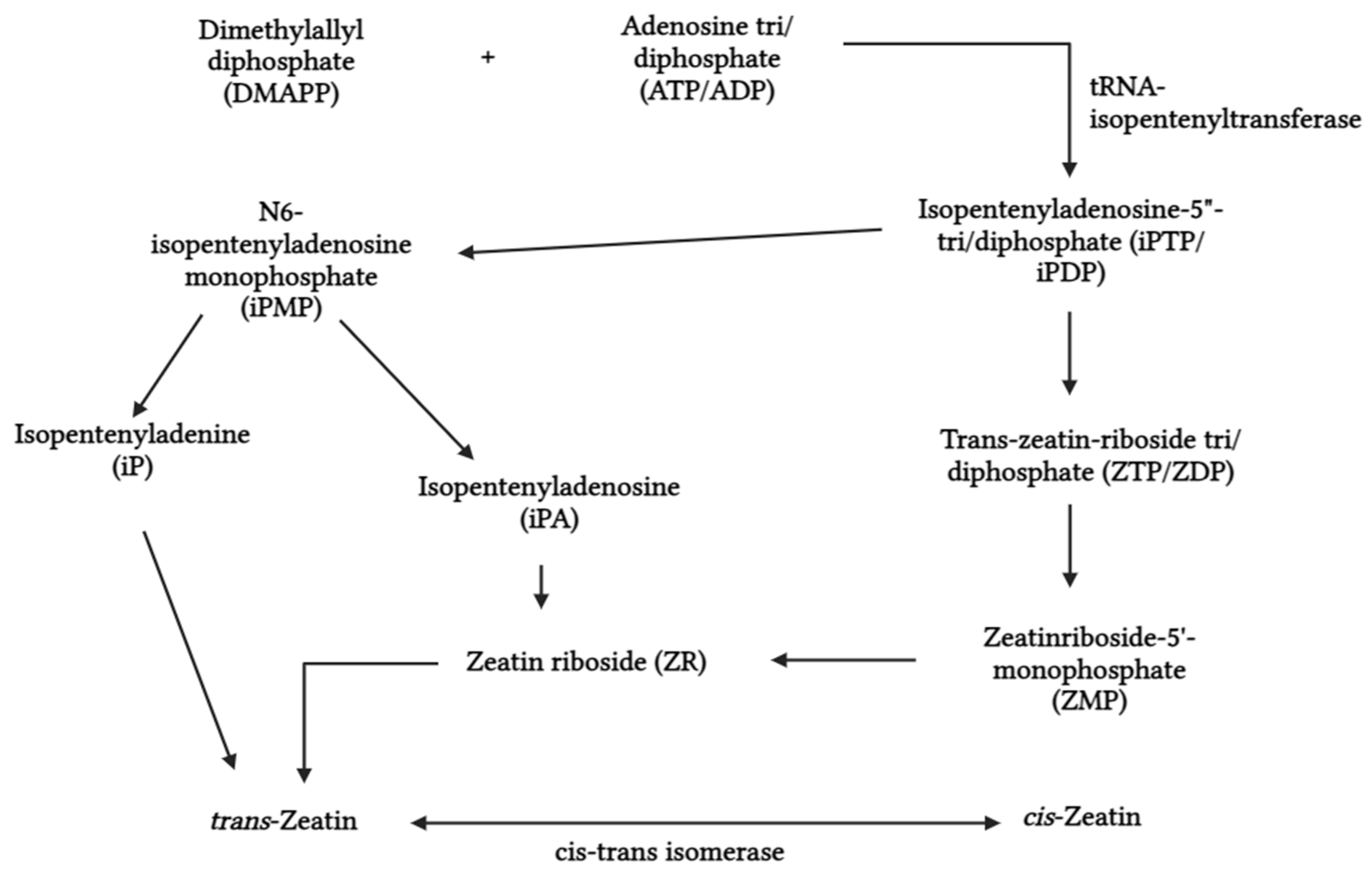 Biotech 13 00027 g003 Biotech 13 00027 g003