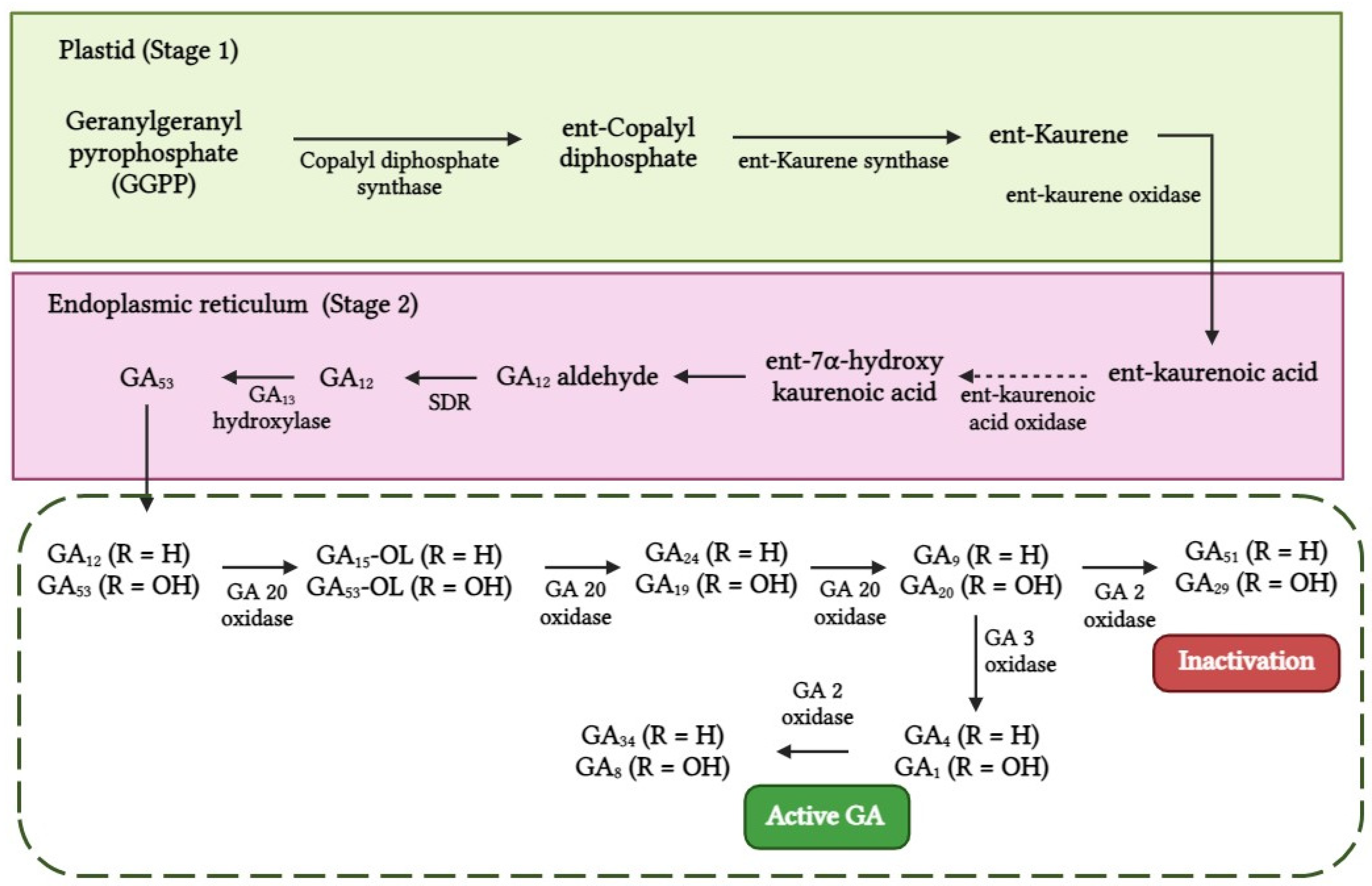 Biotech 13 00027 g004 Biotech 13 00027 g004