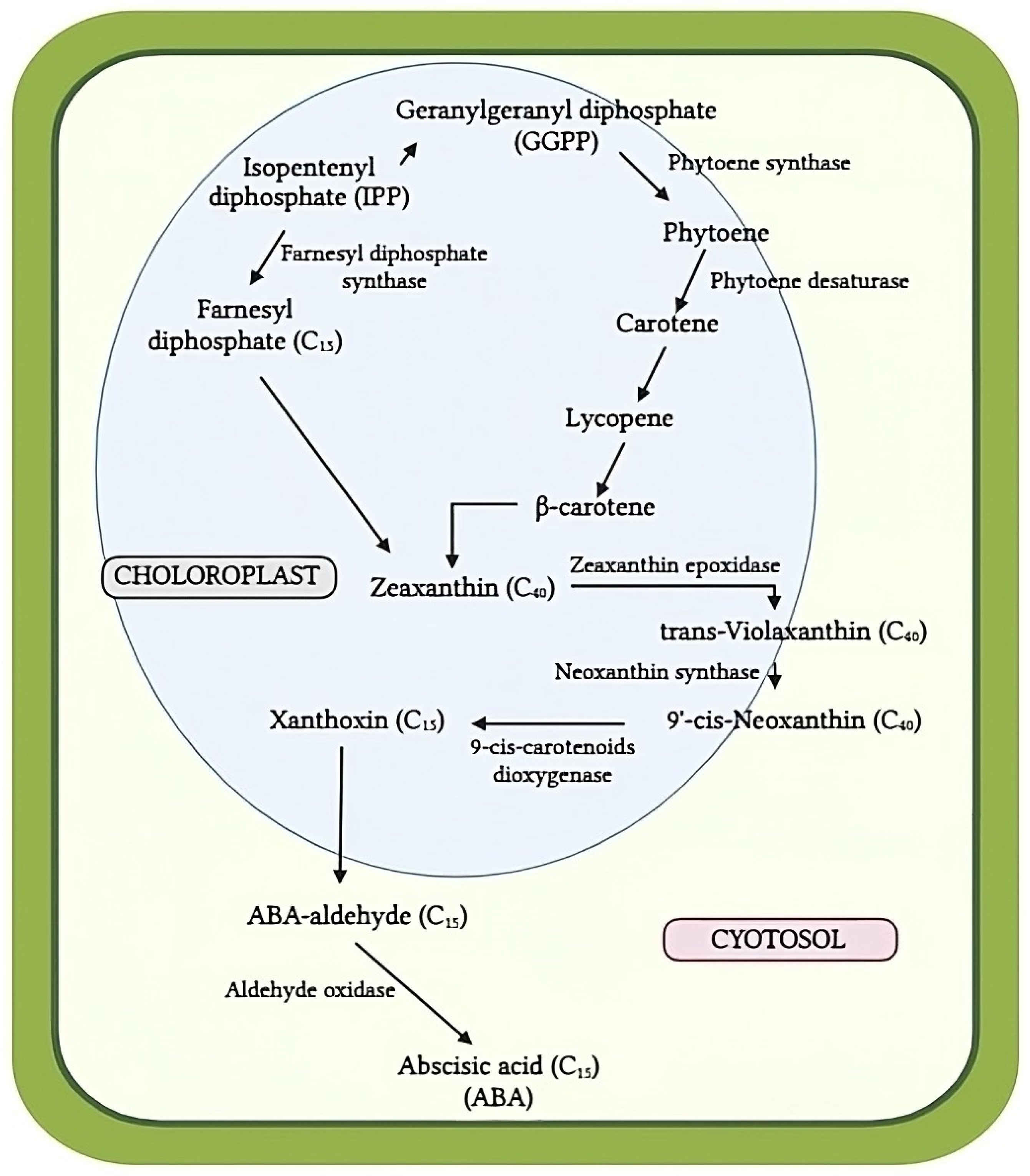 Biotech 13 00027 g006 Biotech 13 00027 g006