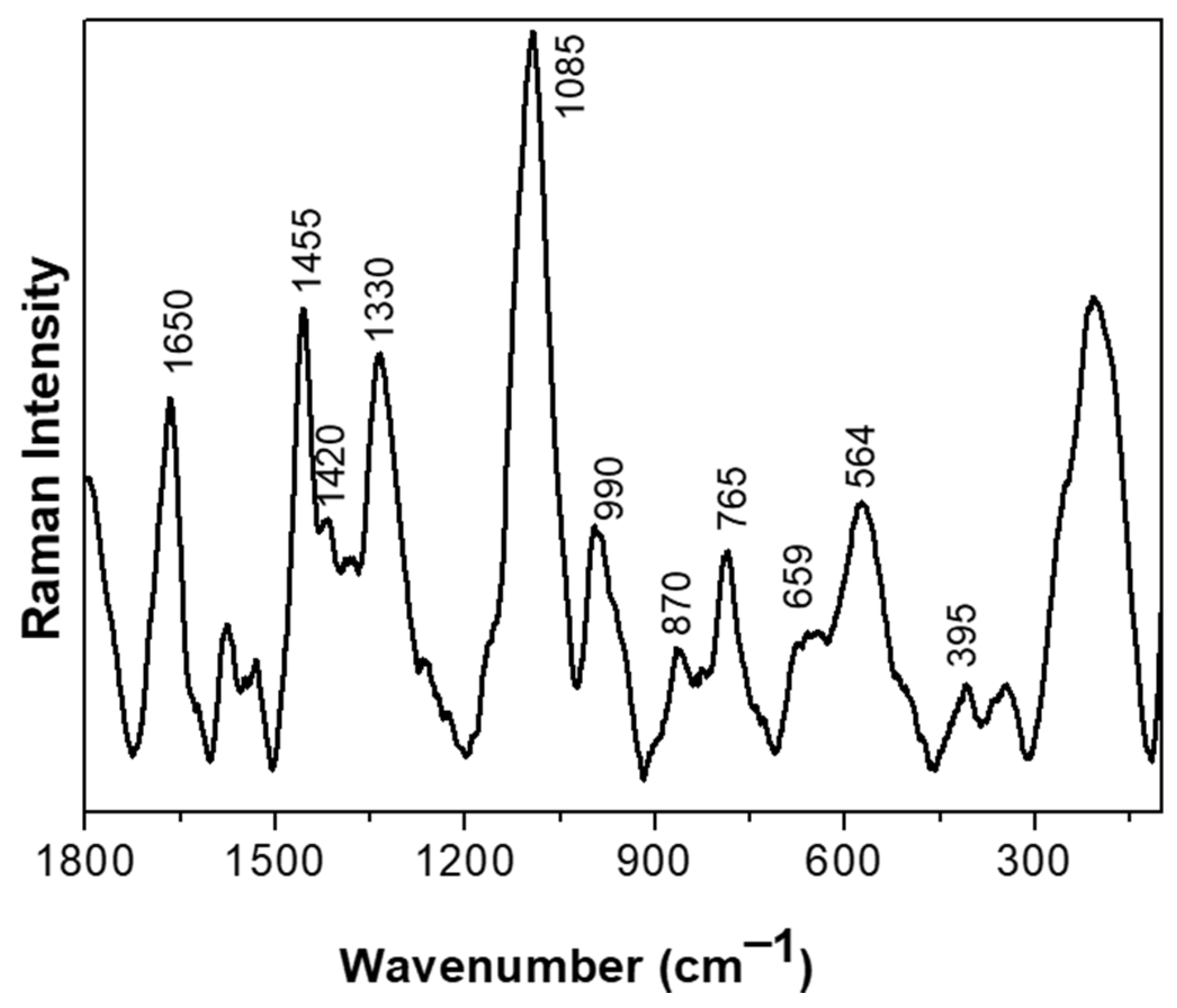 Biotech 13 00029 g002