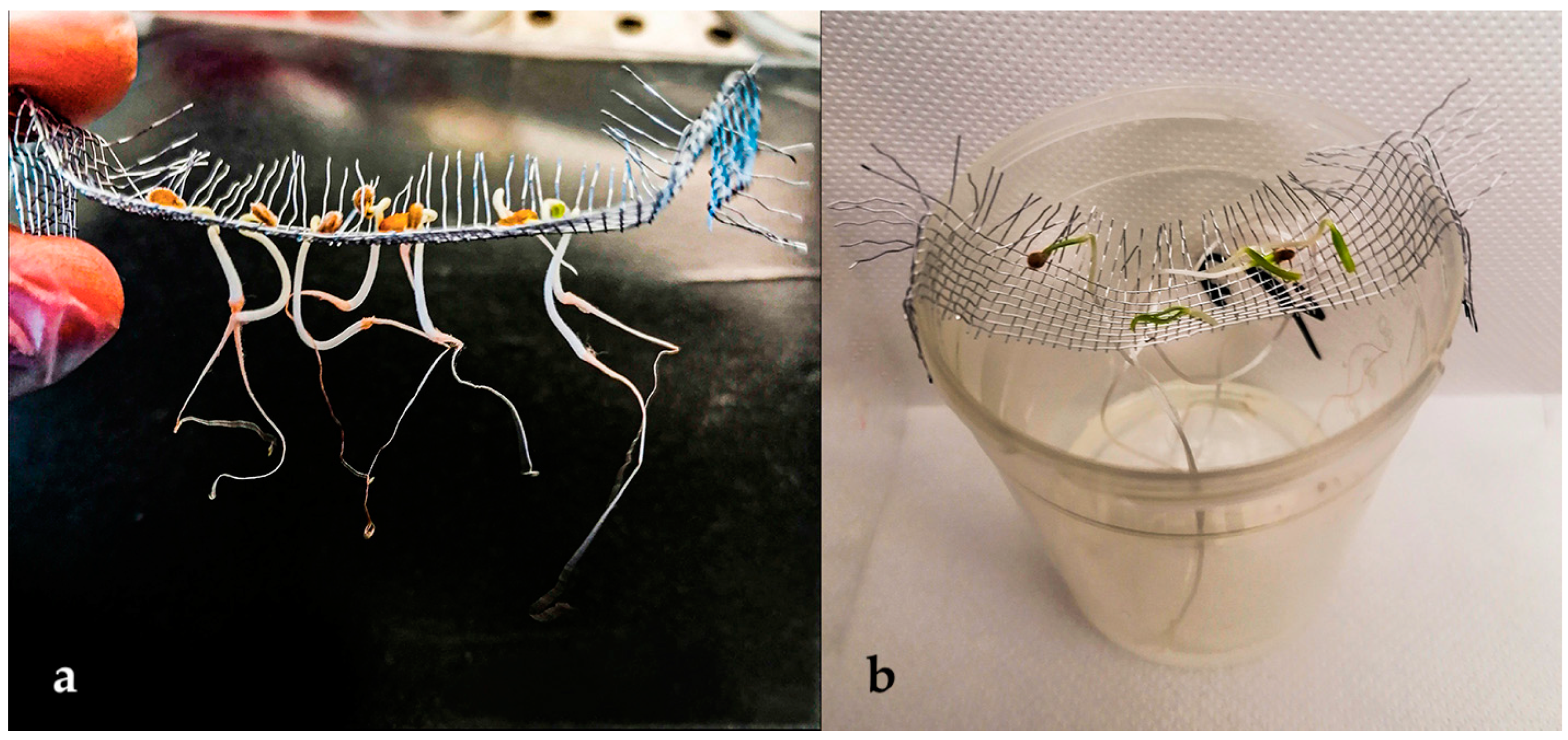 Biotech 13 00032 g002