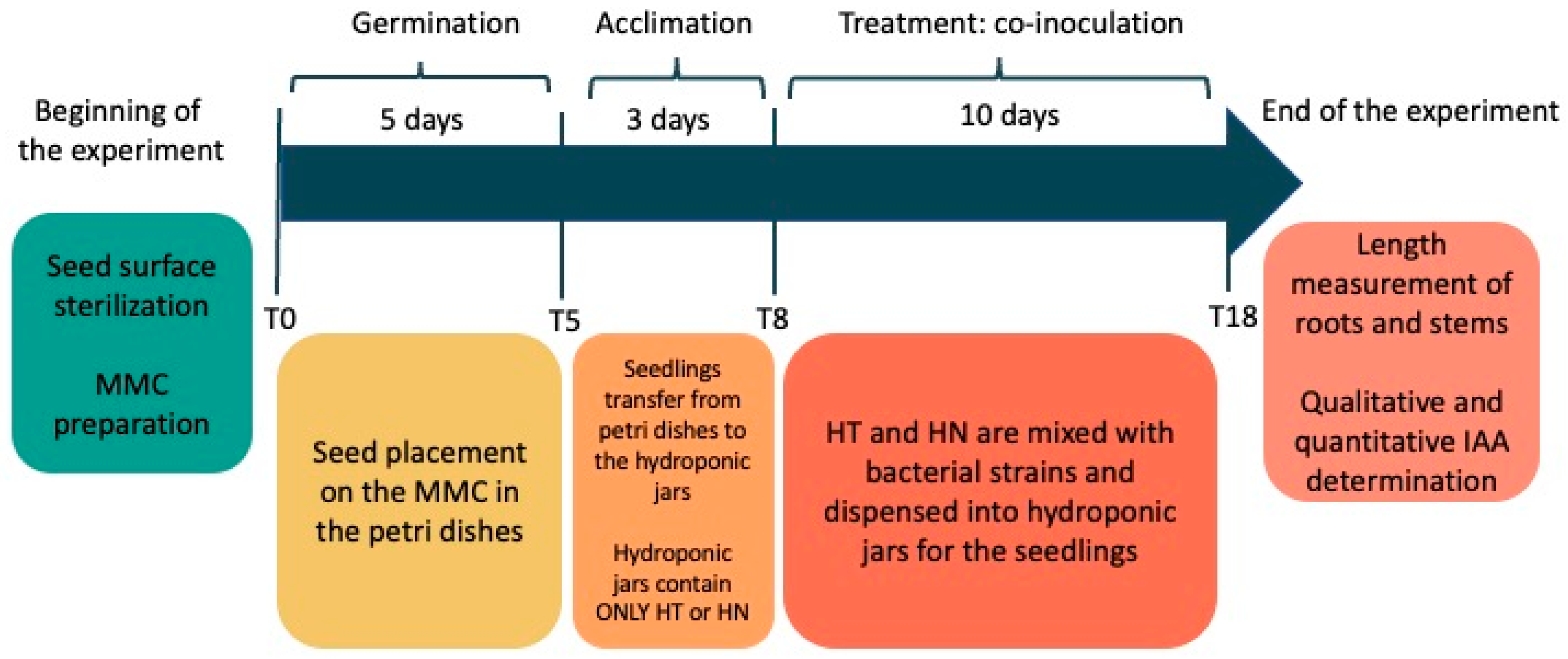Biotech 13 00032 g003