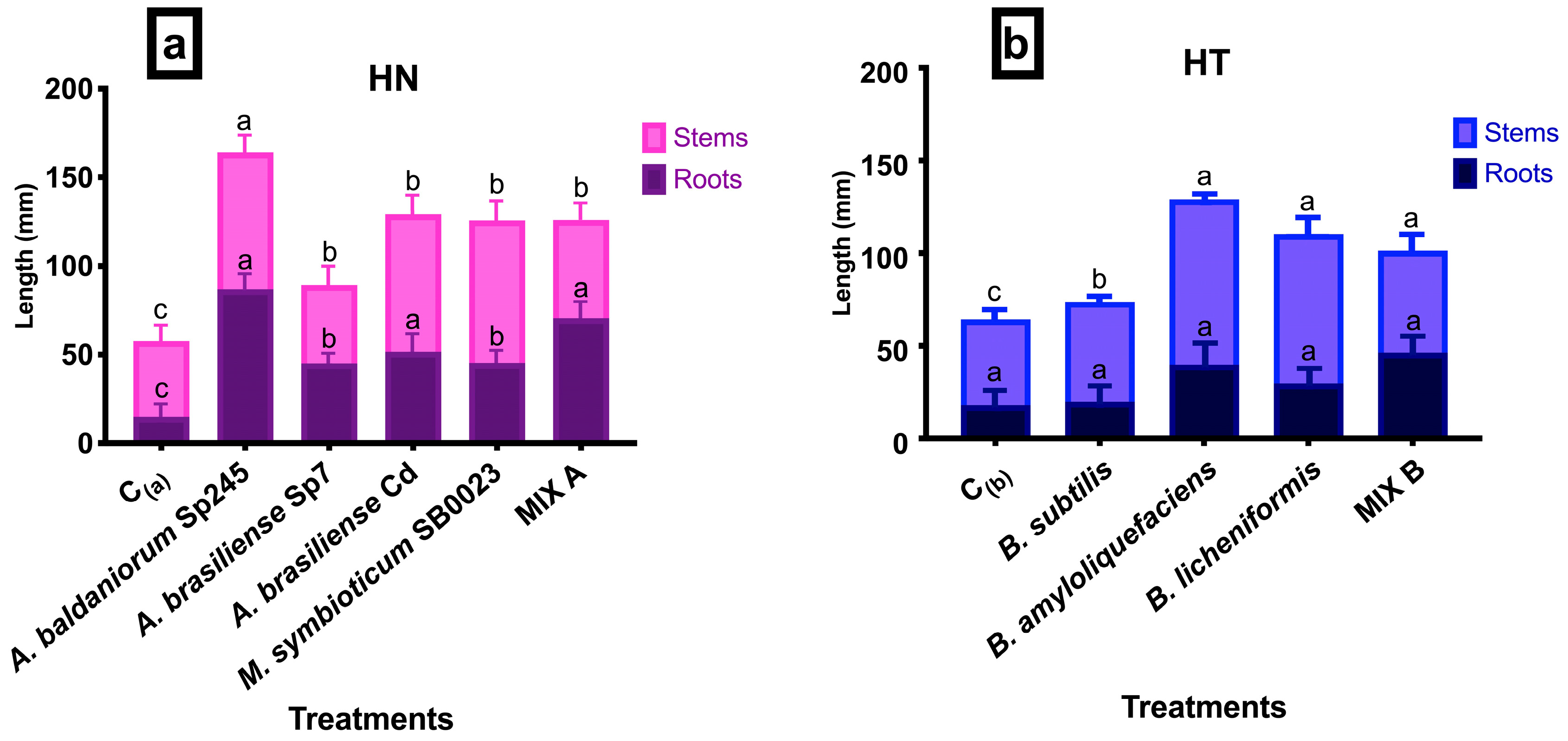 Biotech 13 00032 g004