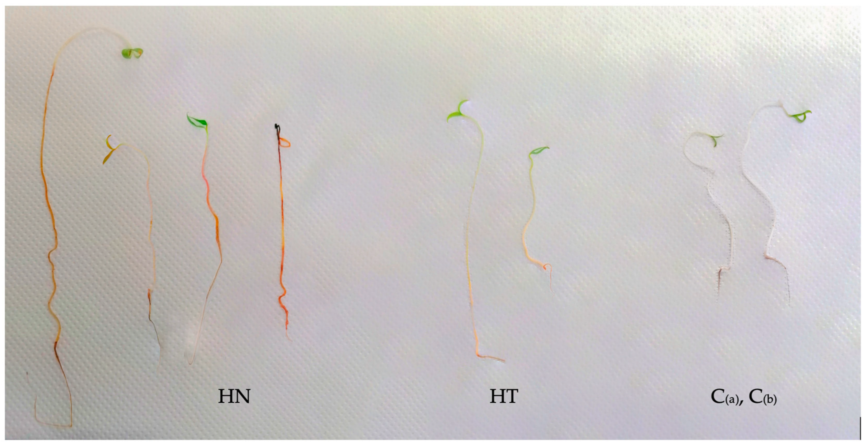 Biotech 13 00032 g005