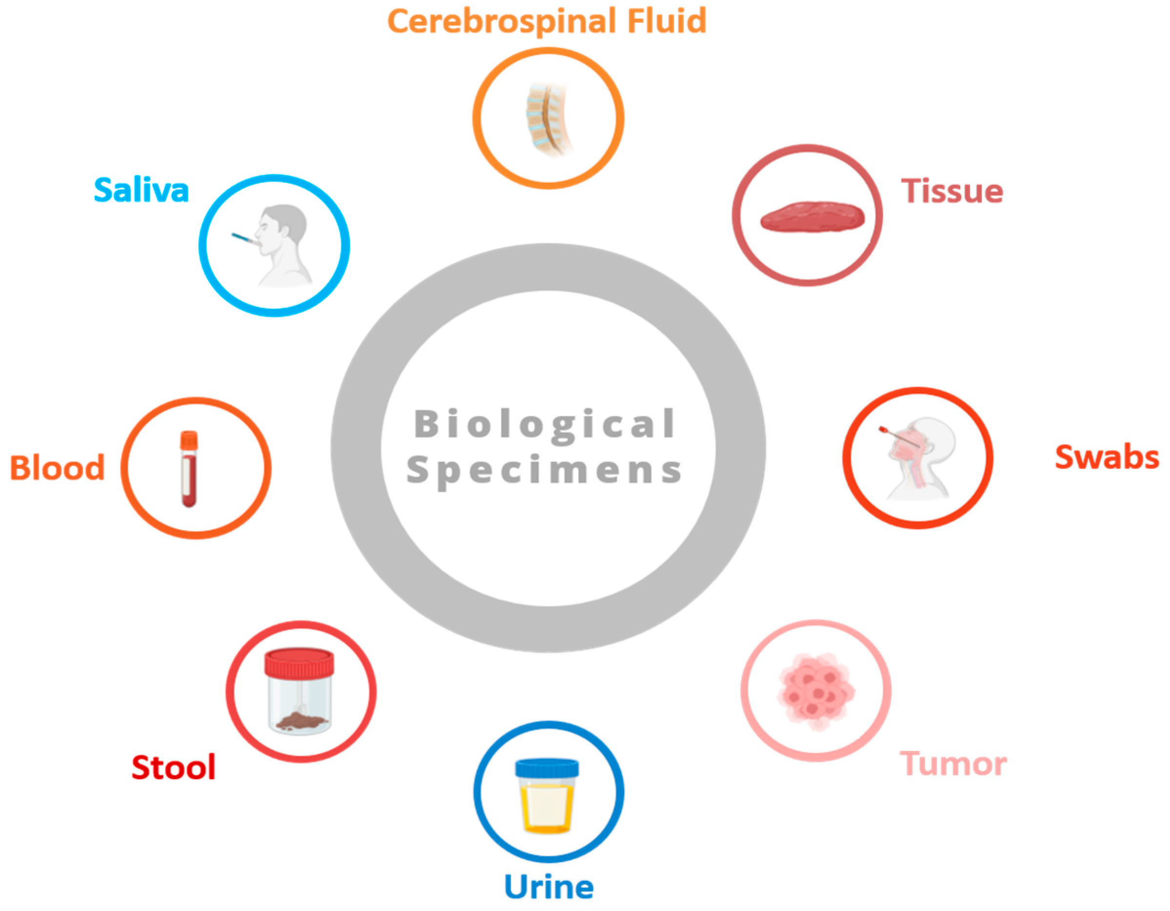 Biotech 13 00034 g001