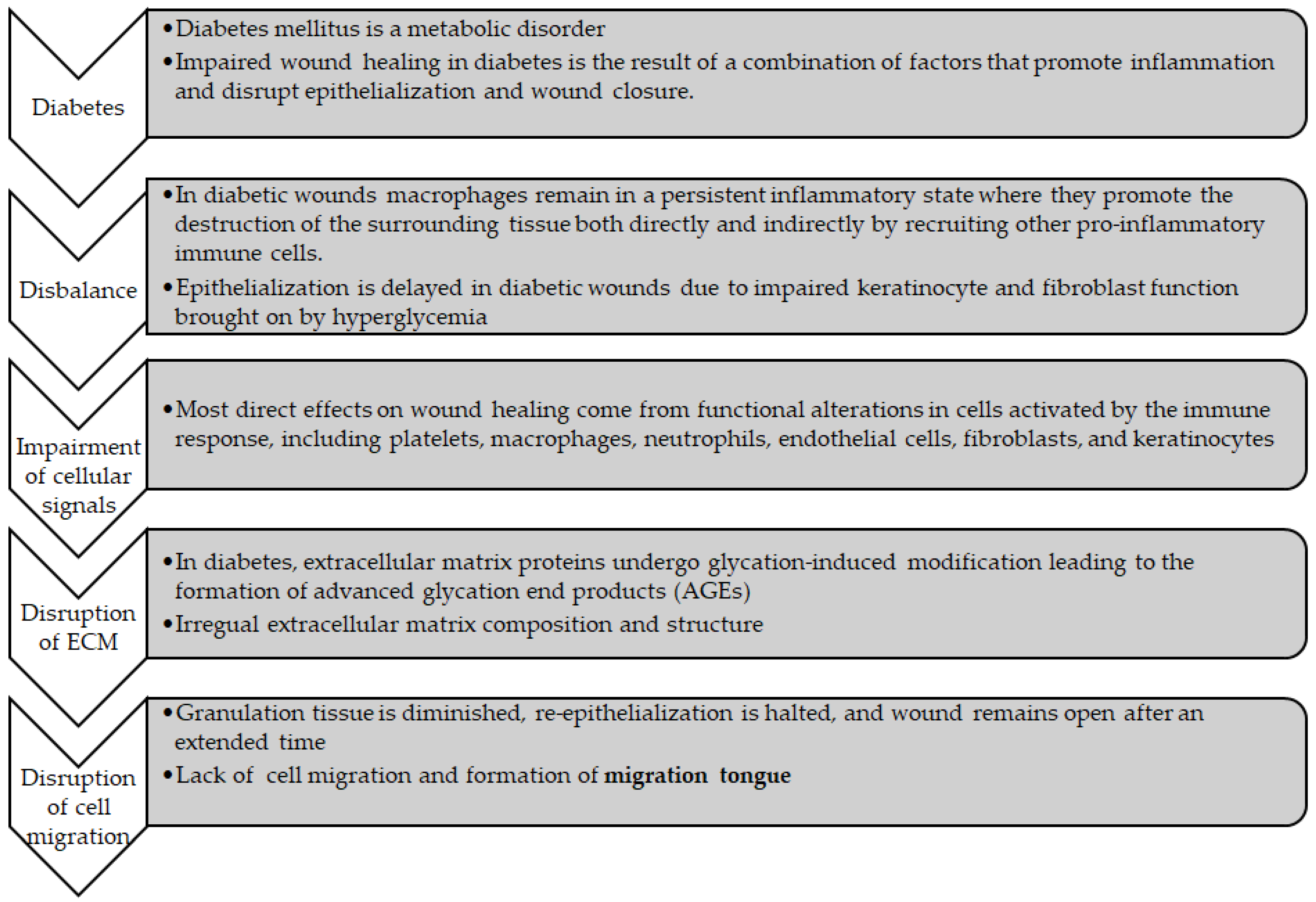 Biotech 13 00036 g001