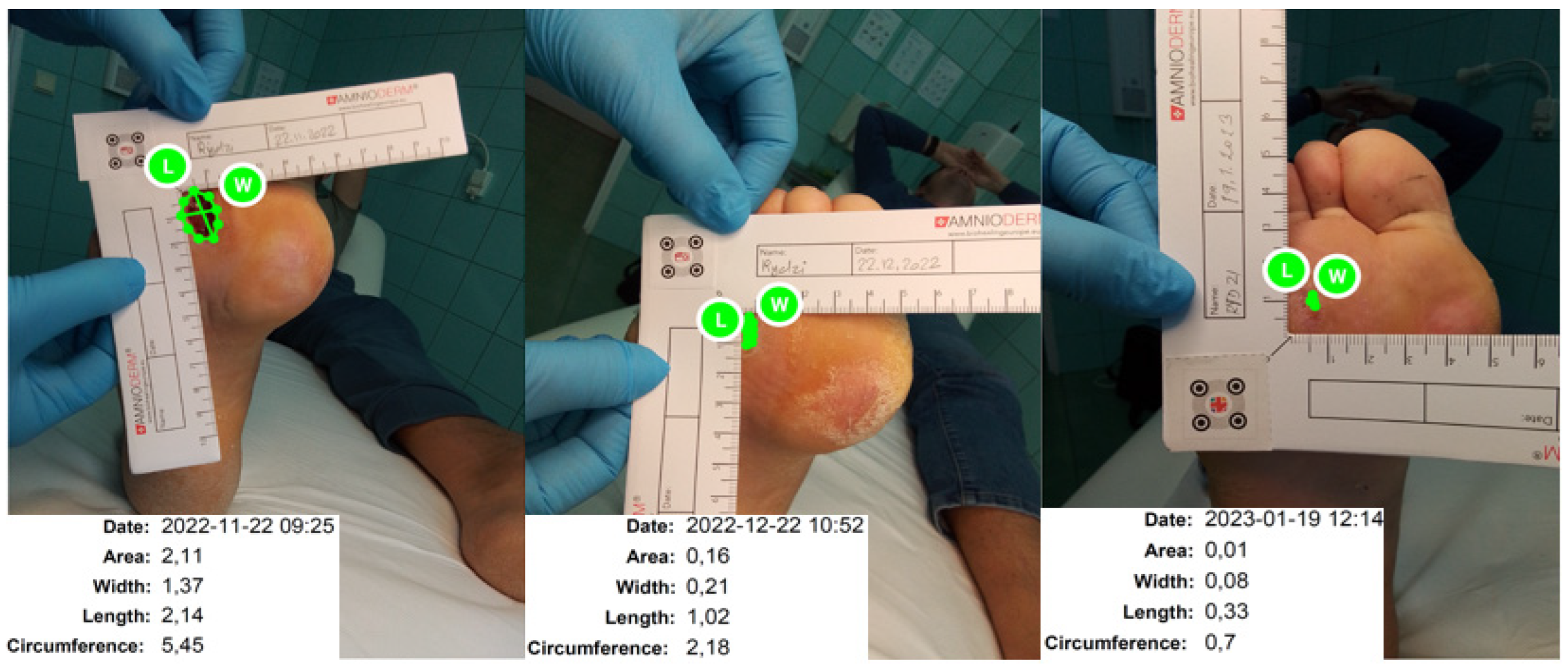 Biotech 13 00036 g004