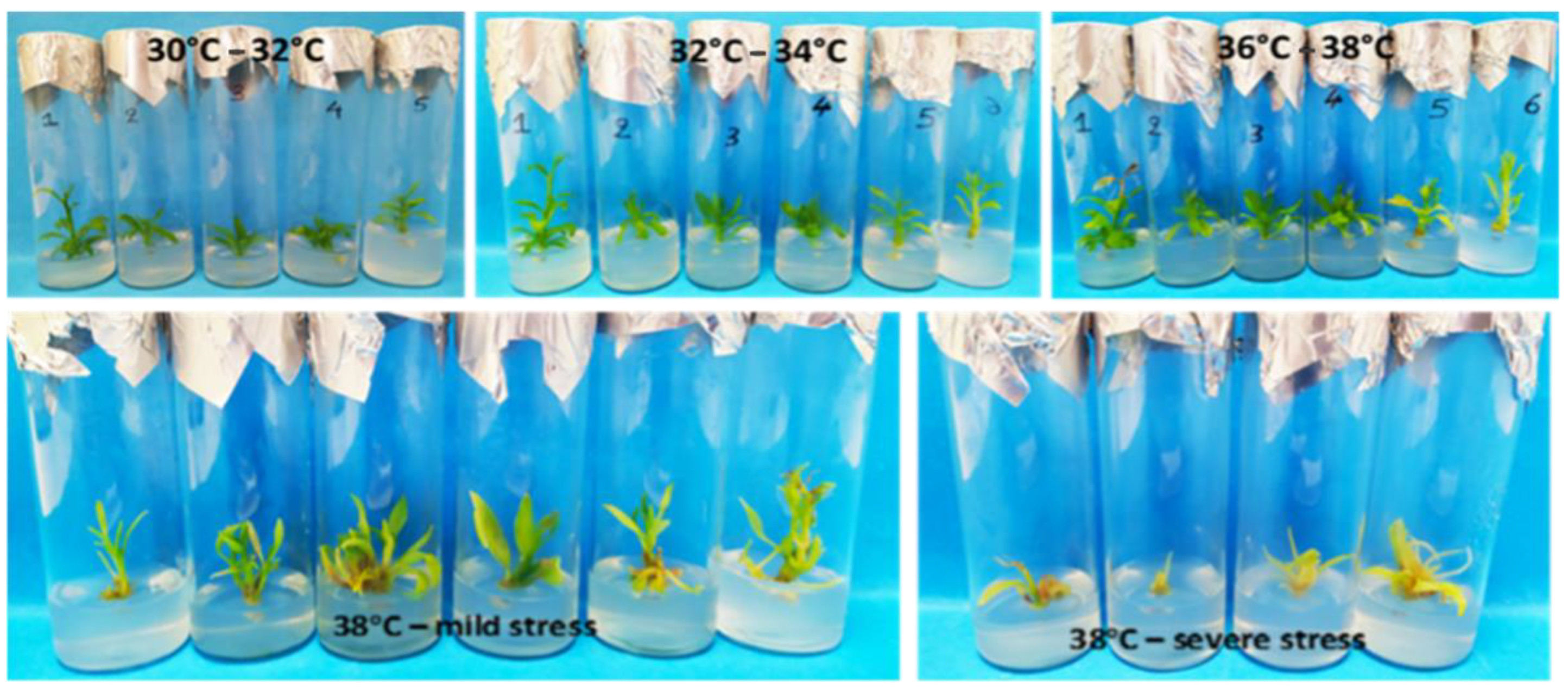 Biotech 13 00037 g004