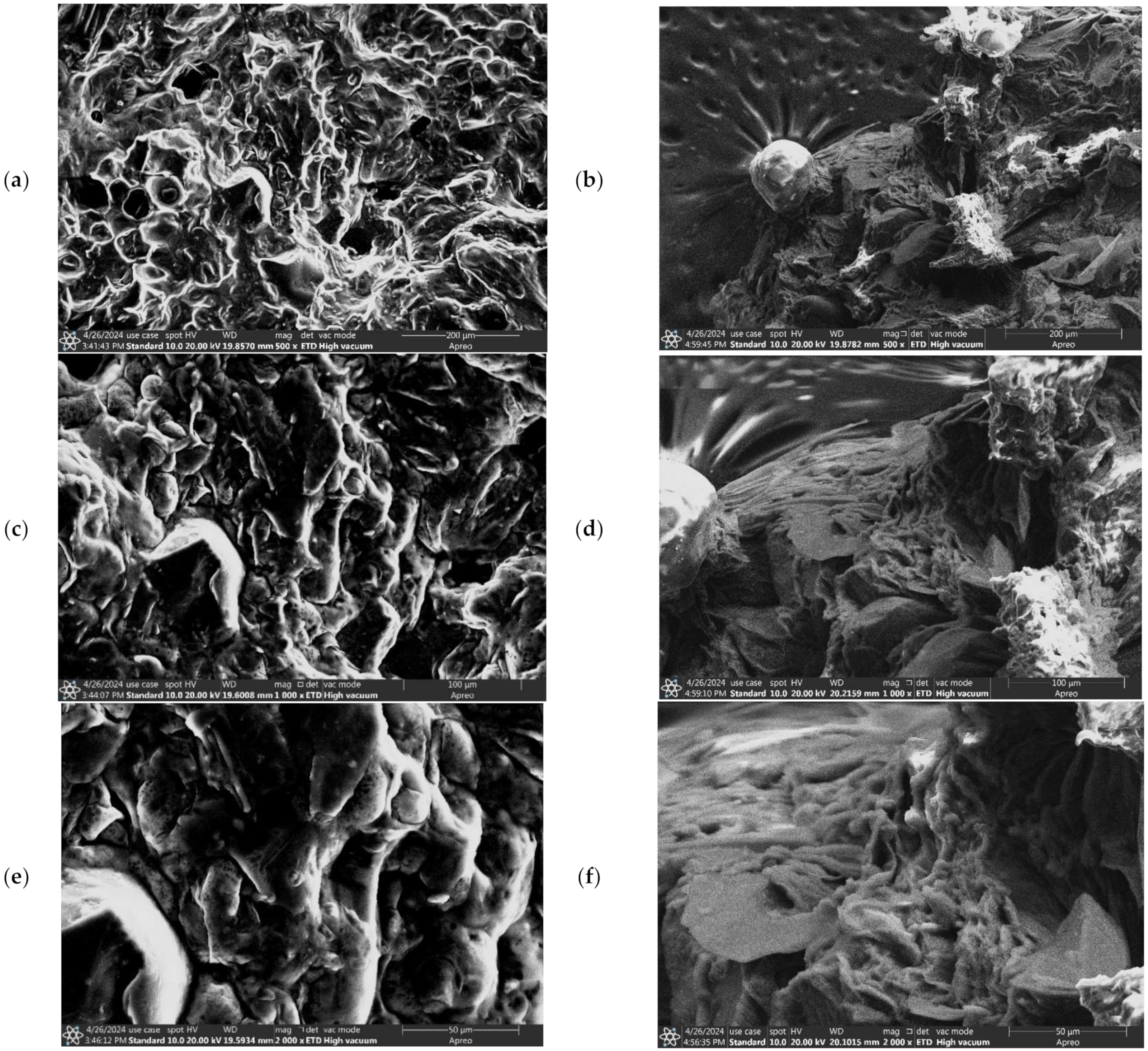 Biotech 13 00039 g009