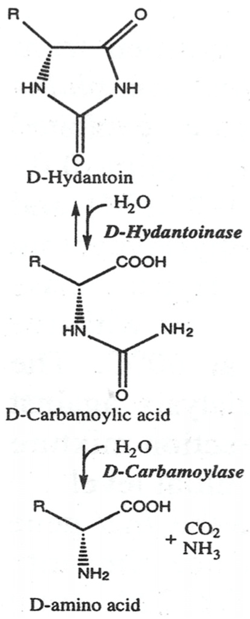 Biotech 13 00040 g001