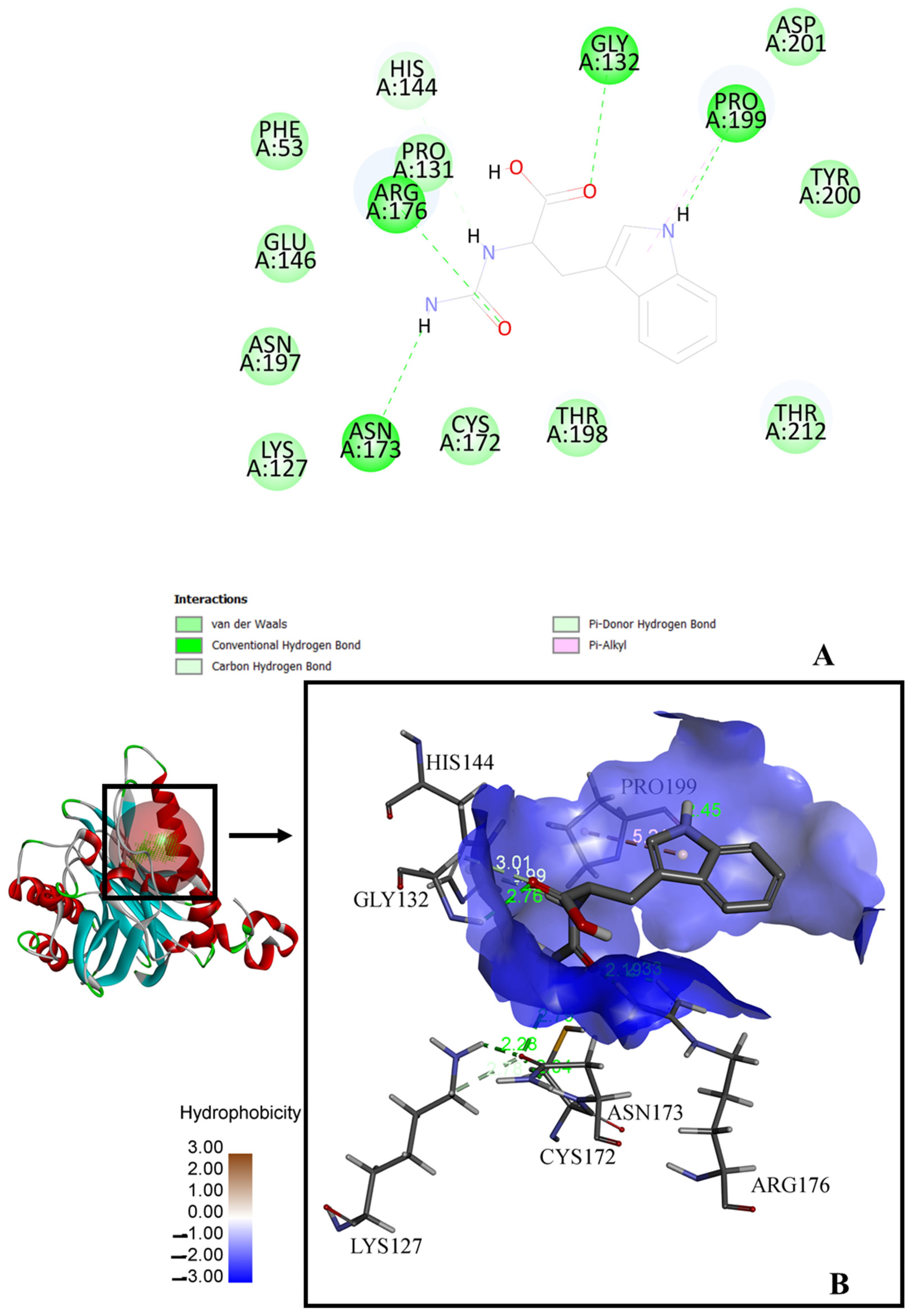 Biotech 13 00040 g003