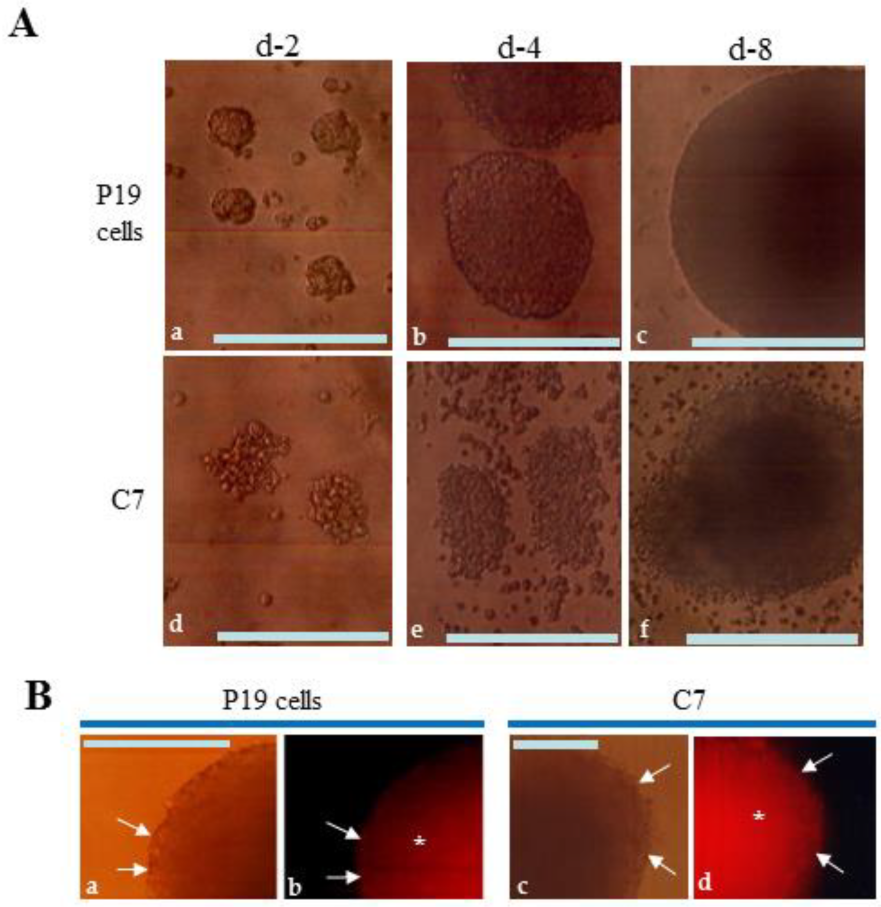 Biotech 13 00041 g003 Biotech 13 00041 g003