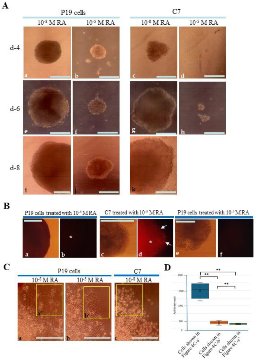 Biotech 13 00041 g004 Biotech 13 00041 g004