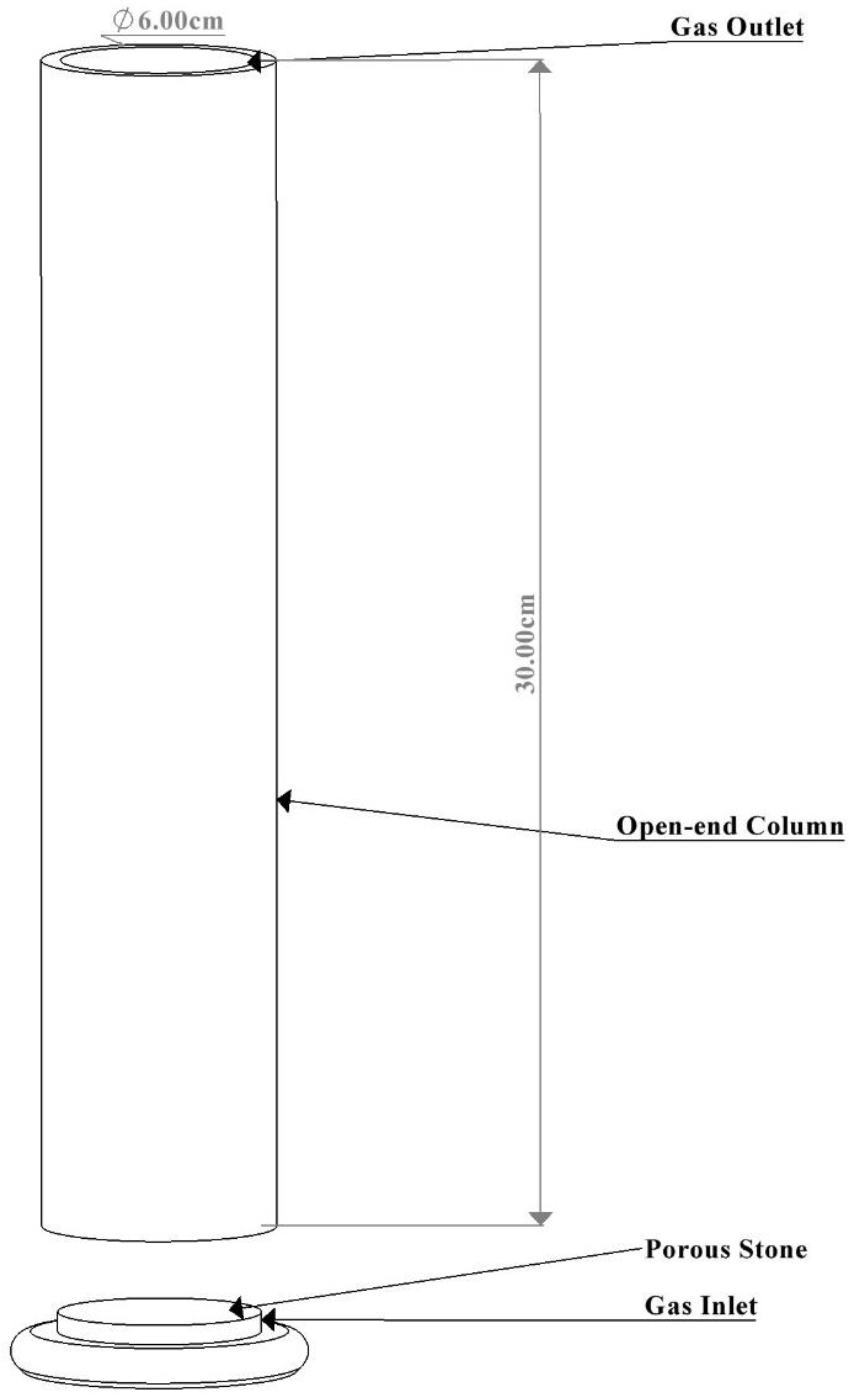 Biotech 13 00043 g001