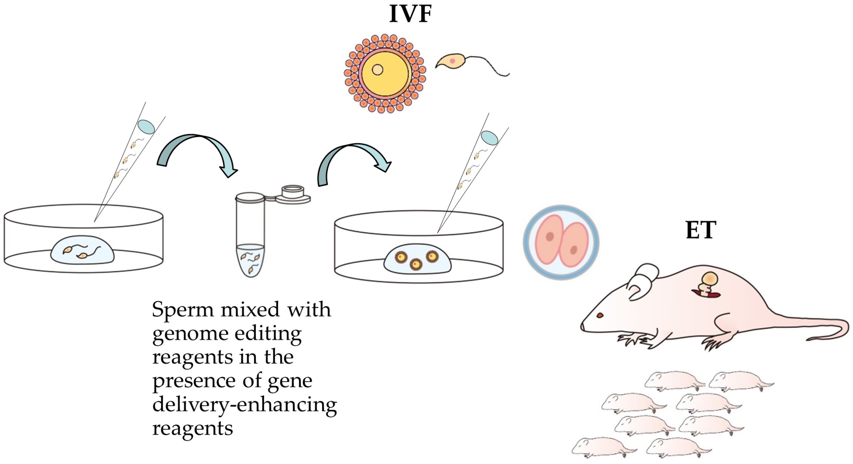 Biotech 13 00045 g001