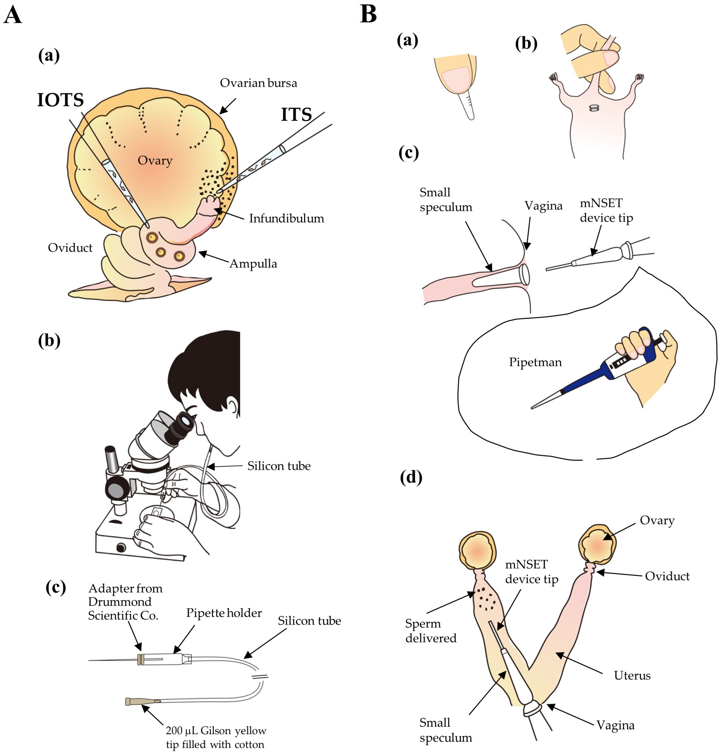 Biotech 13 00045 g002