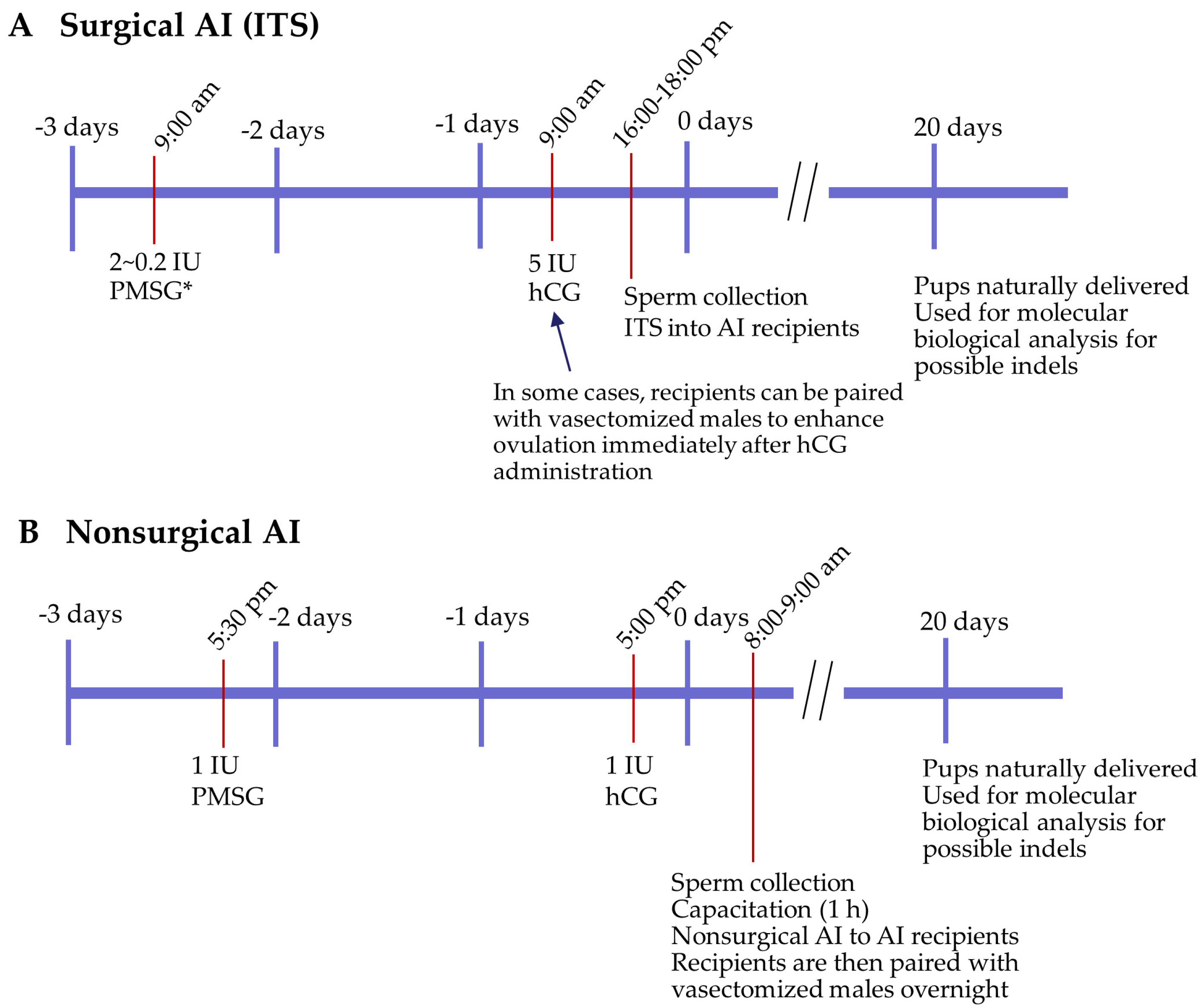 Biotech 13 00045 g003