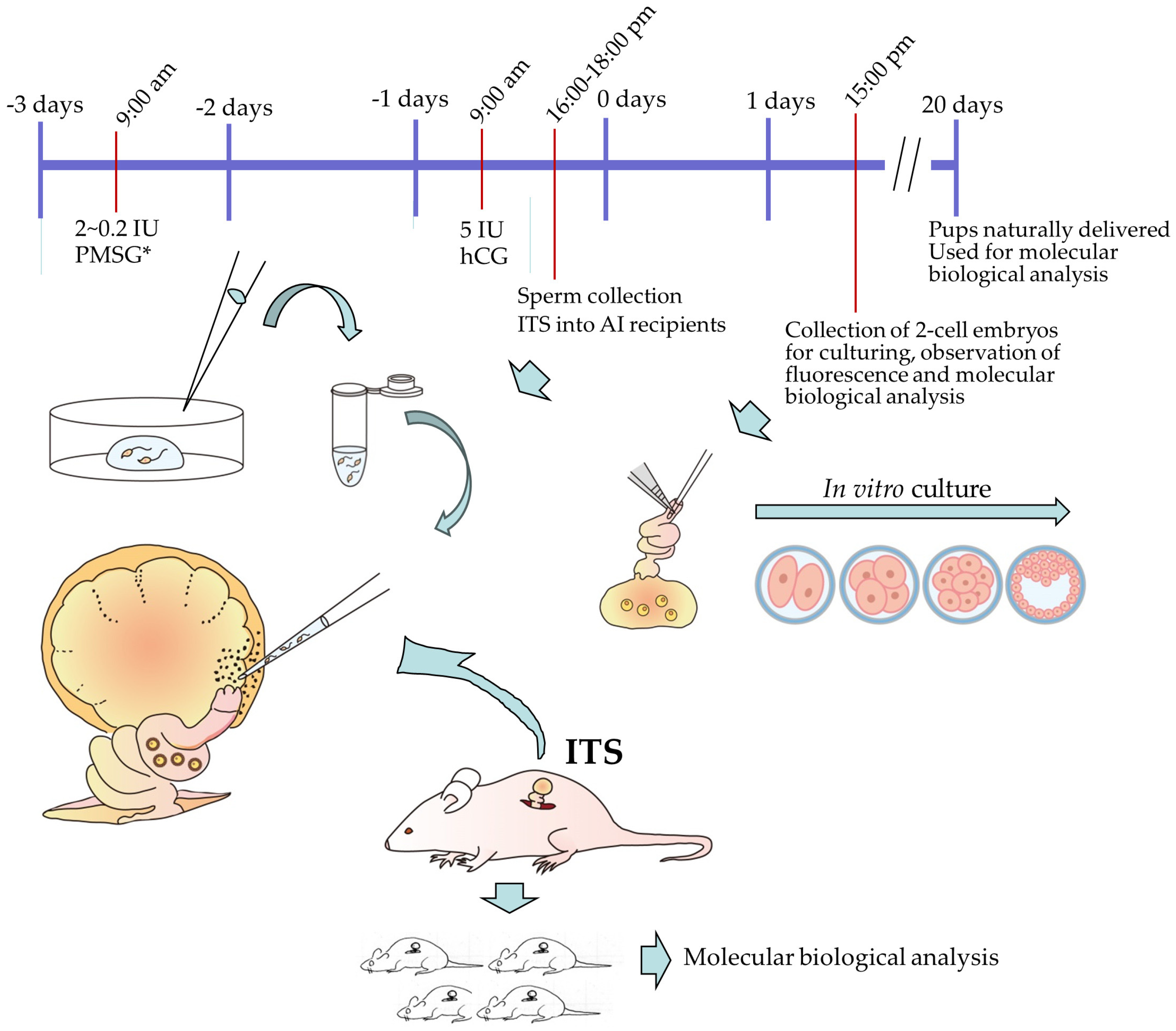 Biotech 13 00045 g004