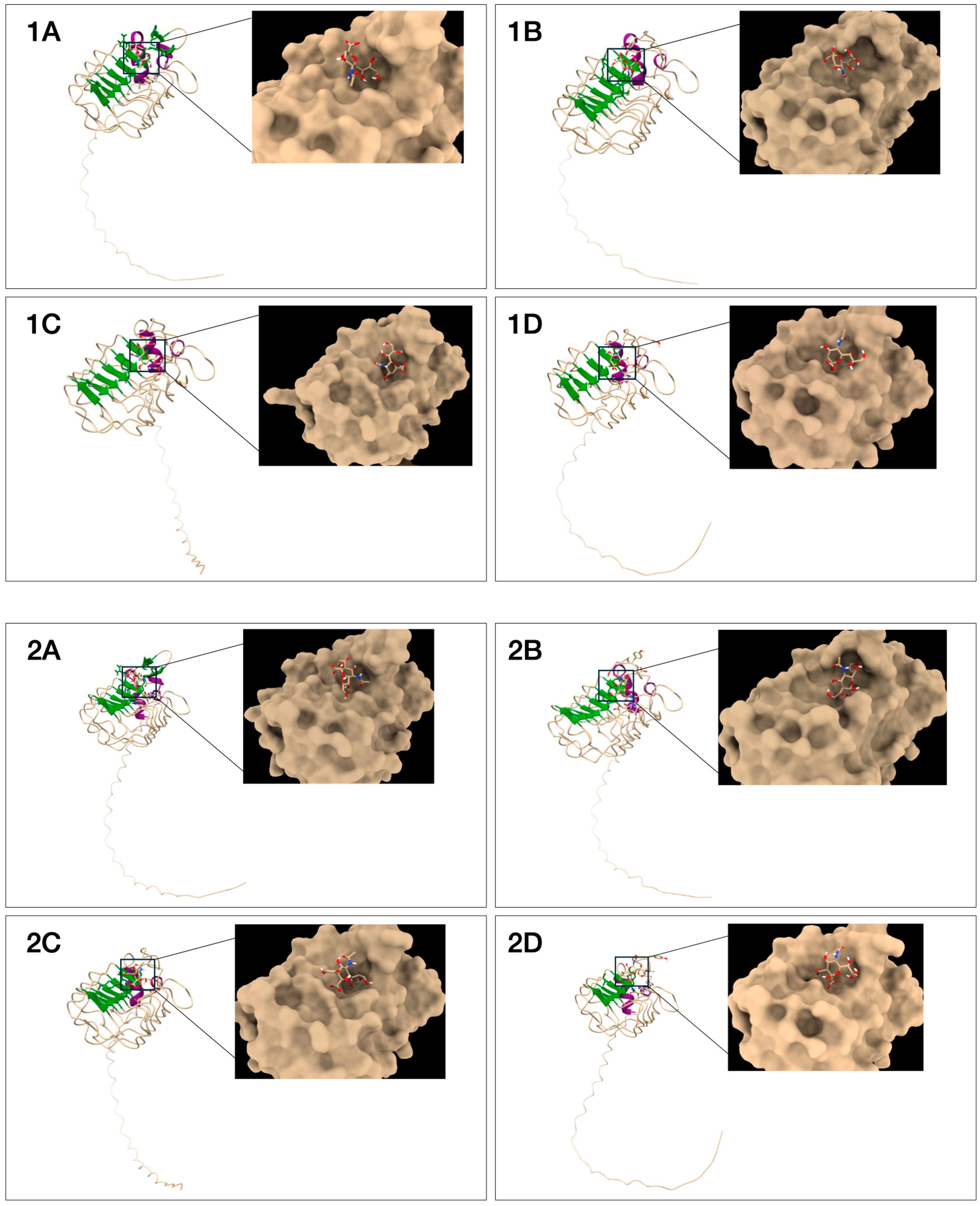 Biotech 13 00046 g006