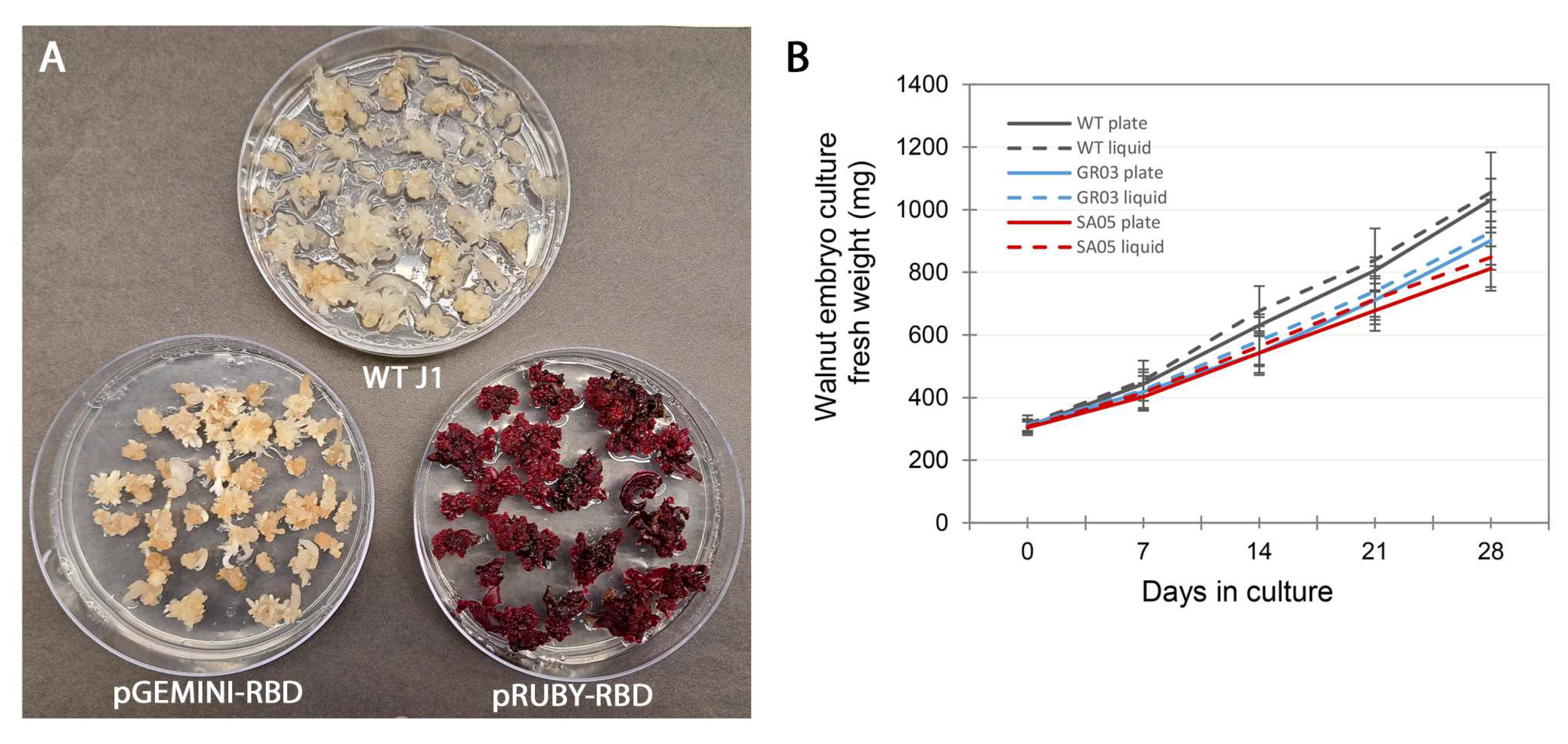 Biotech 13 00050 g002