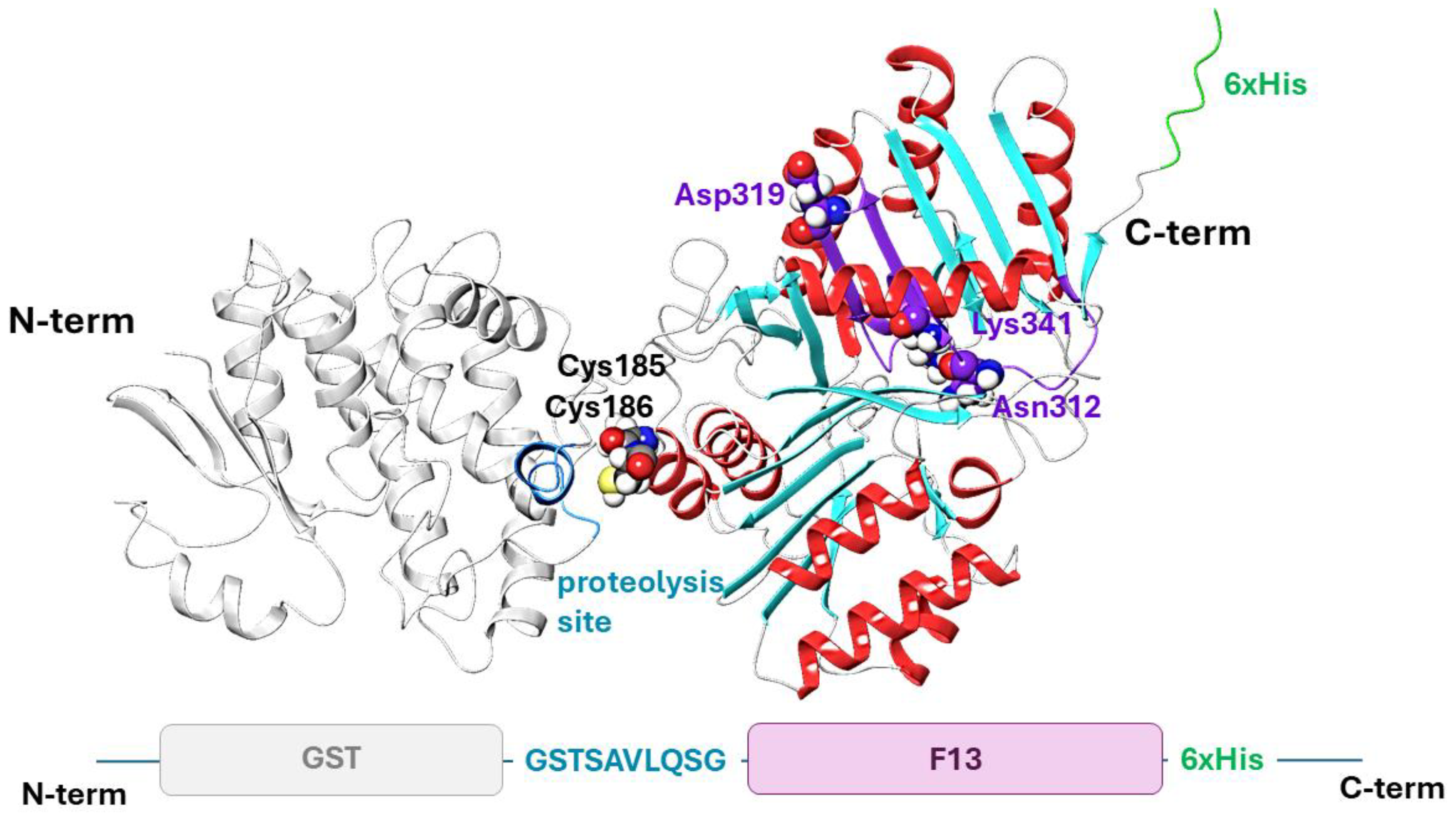 Biotech 13 00057 g001
