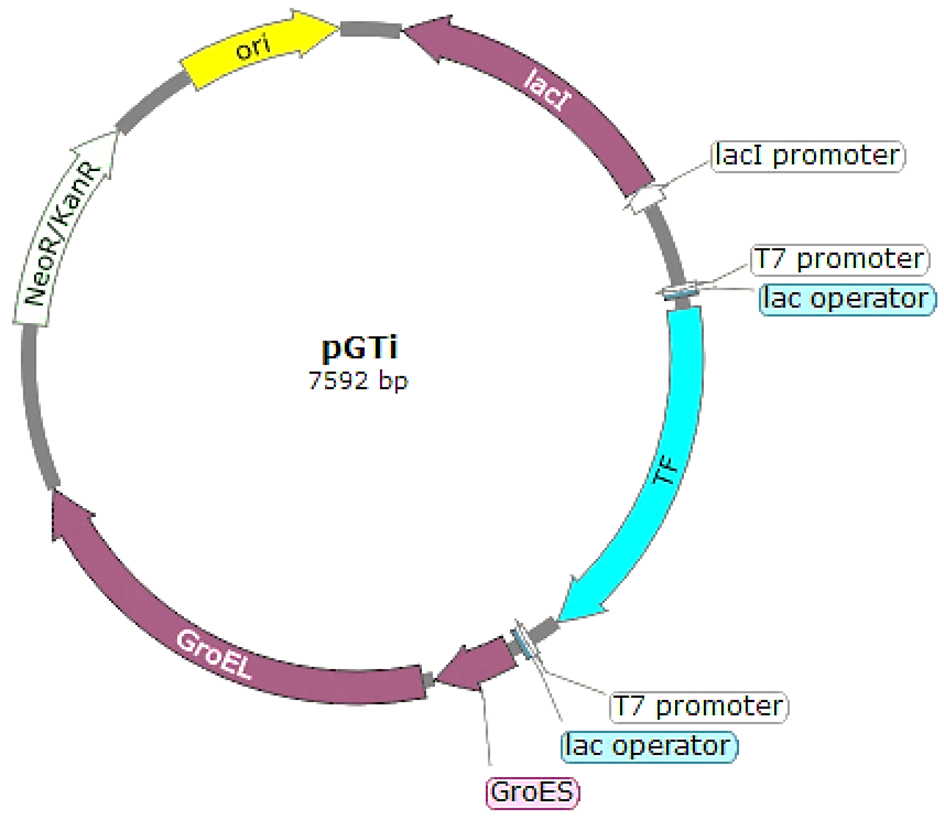 Biotech 13 00057 g003