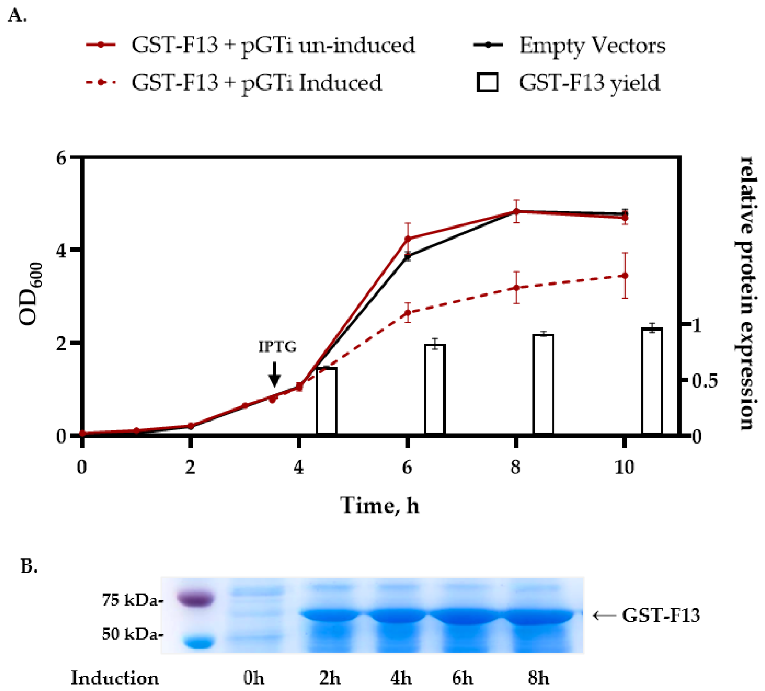 Biotech 13 00057 g005